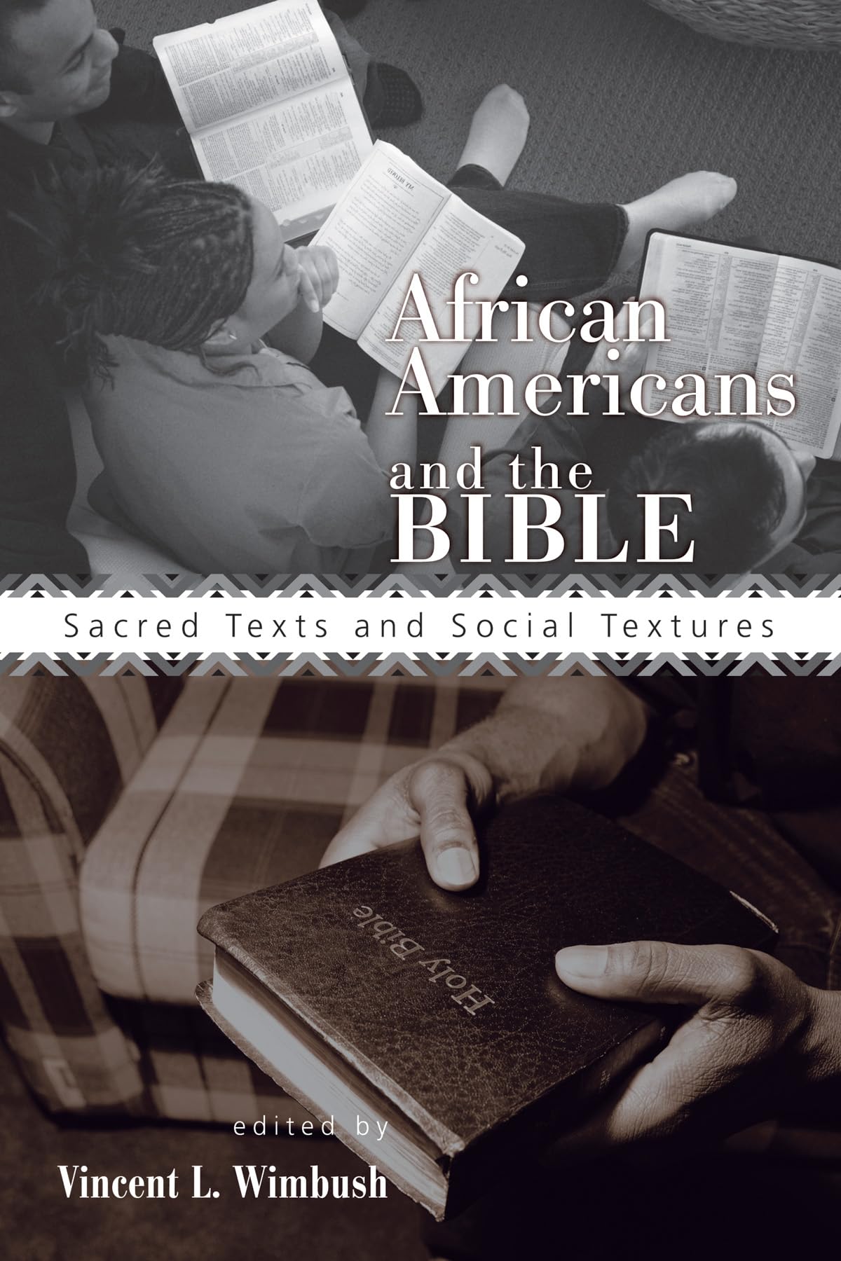 African Americans and the Bible - Historical and Cultural Perspectives for Faith, Study & Inspiration