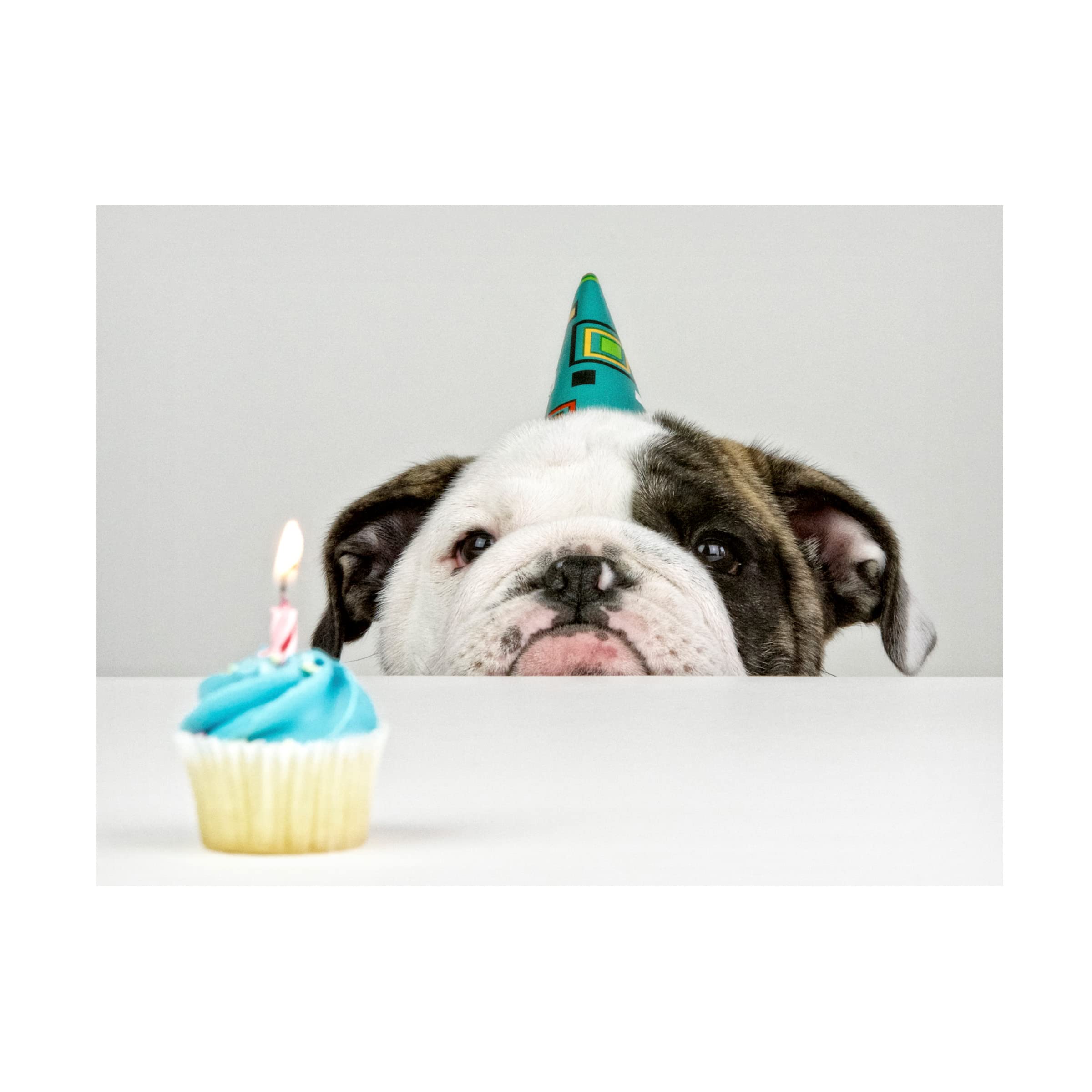 Trademark Fine Art 'A Little Birthday' Canvas Print by Mike Melnotte - Perfect for Nursery, Kids Room Decor & Birthday Gift Ideas