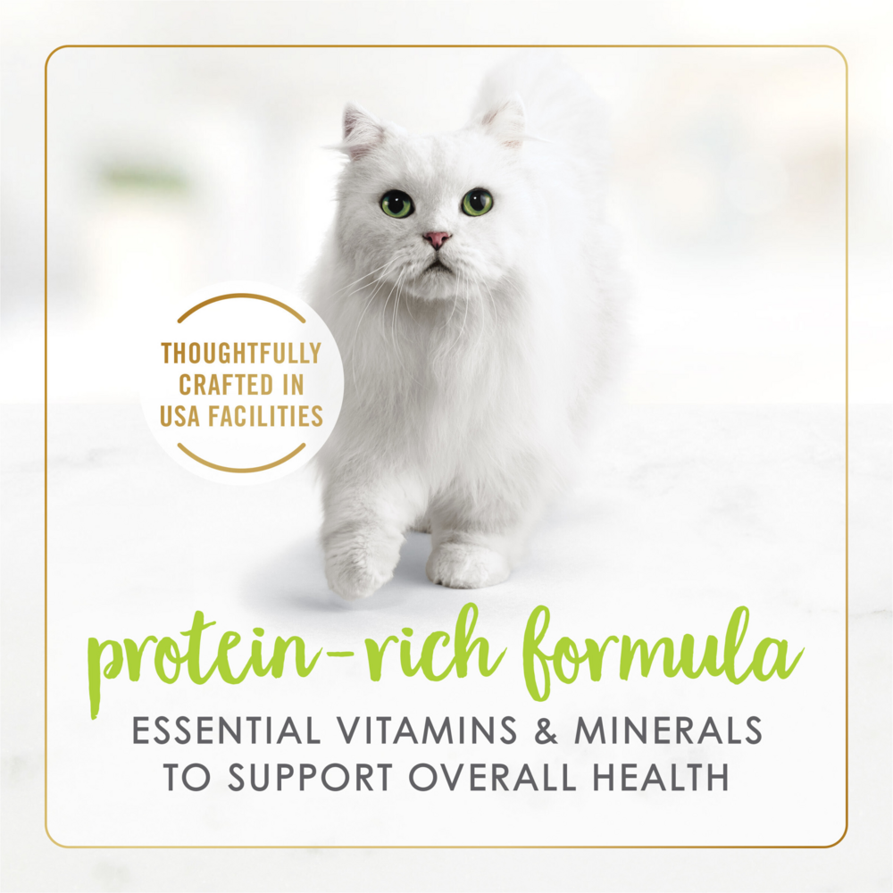 Fancy Feast Grilled Salmon Canned Cat Food - Grain Free Wet Cat Food for Adult & Senior Cats - High Protein Meal for Indoor & Outdoor Cats at Home or Travel