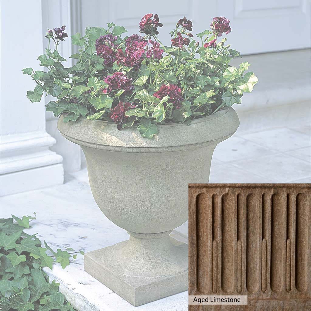 Color Shown