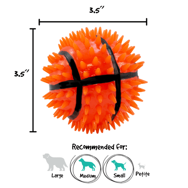 Gnawsome Squeak & Light Basketball Dog Toy - Interactive Chew Toy for Puppies and Small Dogs - Perfect for Indoor Play, Fetch, and Training Sessions