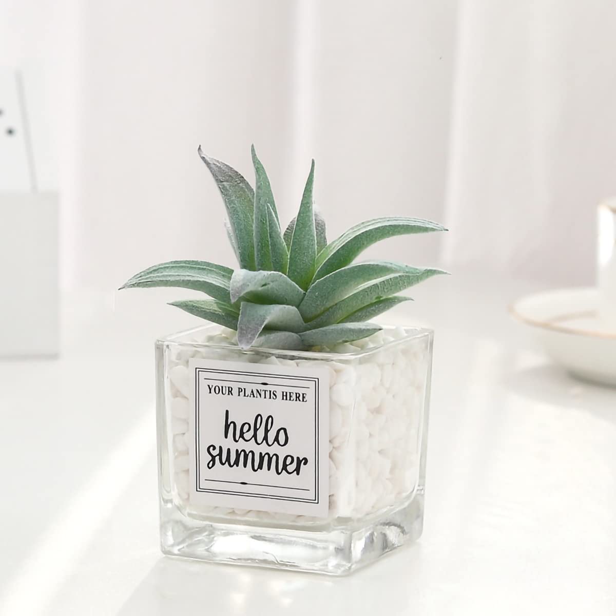Mini Artificial Succulents in Glass Pots - Cute Desk & Home Decor