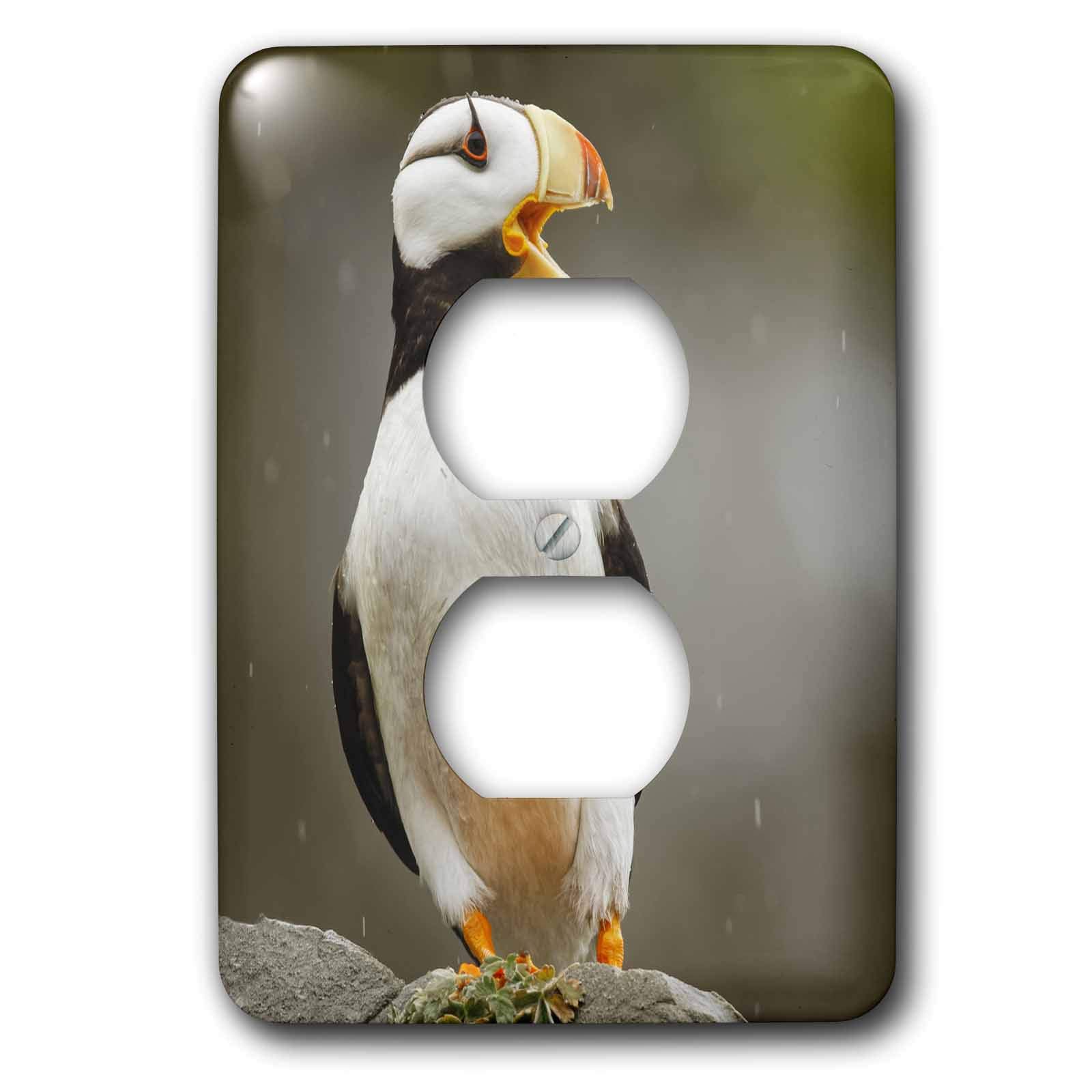 3D Printed Horned Puffin Light Switch Cover - Alaska Lake Clark National Park Wildlife Decor - Single Toggle Wall Plate for Home, Office & Cabin Decor