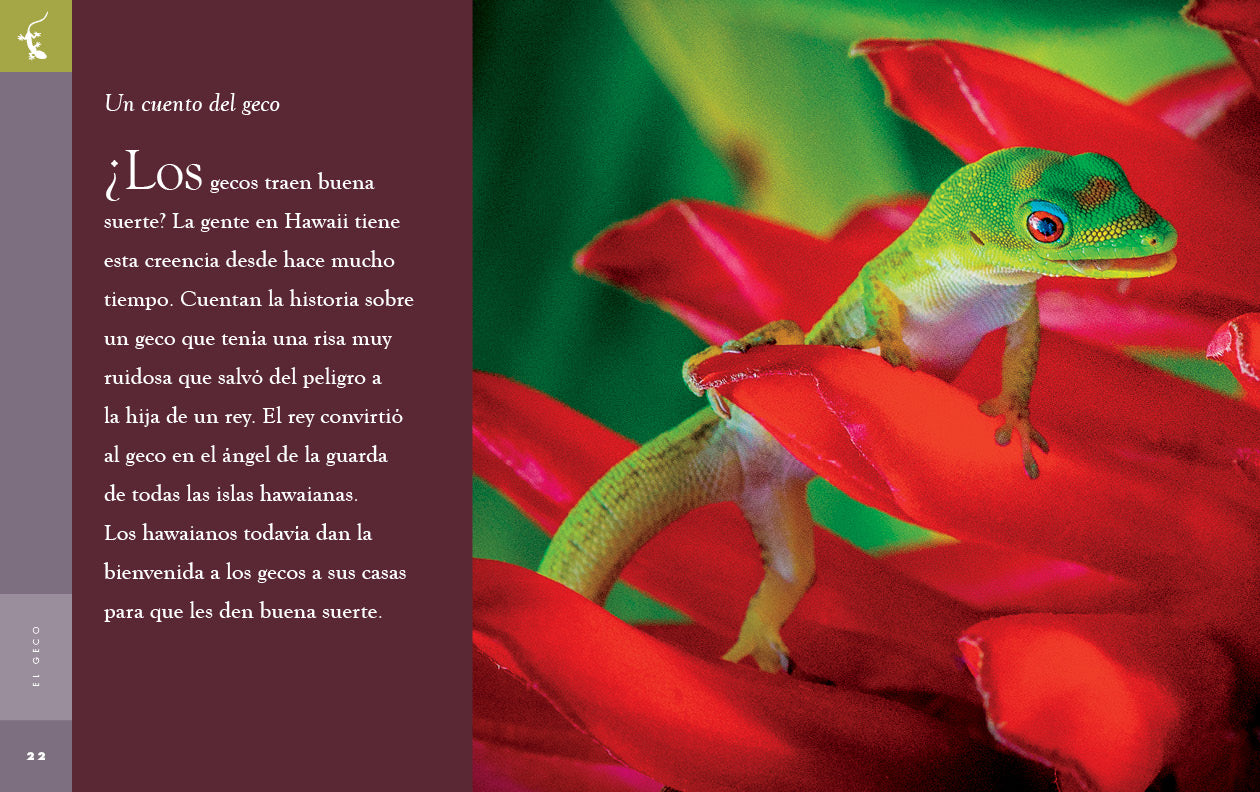 El Geco 9781640266728 - Reptile Pet Care Book for Gecko Owners - Perfect for Beginners & Enthusiasts | Home & Classroom Use