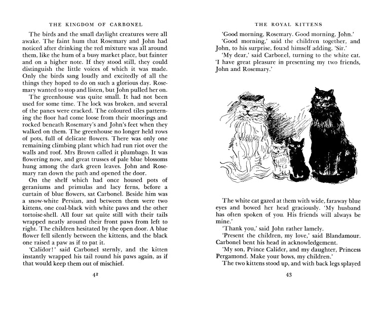 The Kingdom of Carbonel - Classic Children's Fantasy Book Series | Perfect for Bedtime Reading & Family Storytime