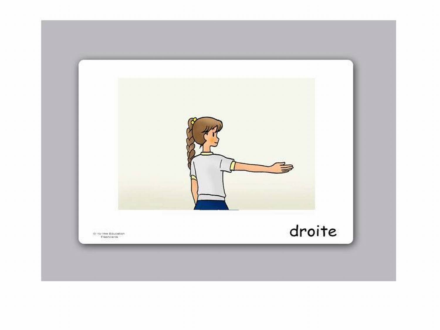 French Adjectives Picture Cards for Kids & Toddlers - Vocabulary Flashcards with Images - Learn French Adjectives for Children - Perfect for Homeschooling & Classroom Learning