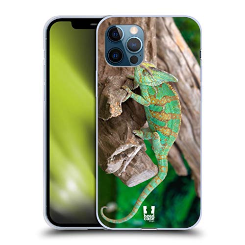 Chameleon