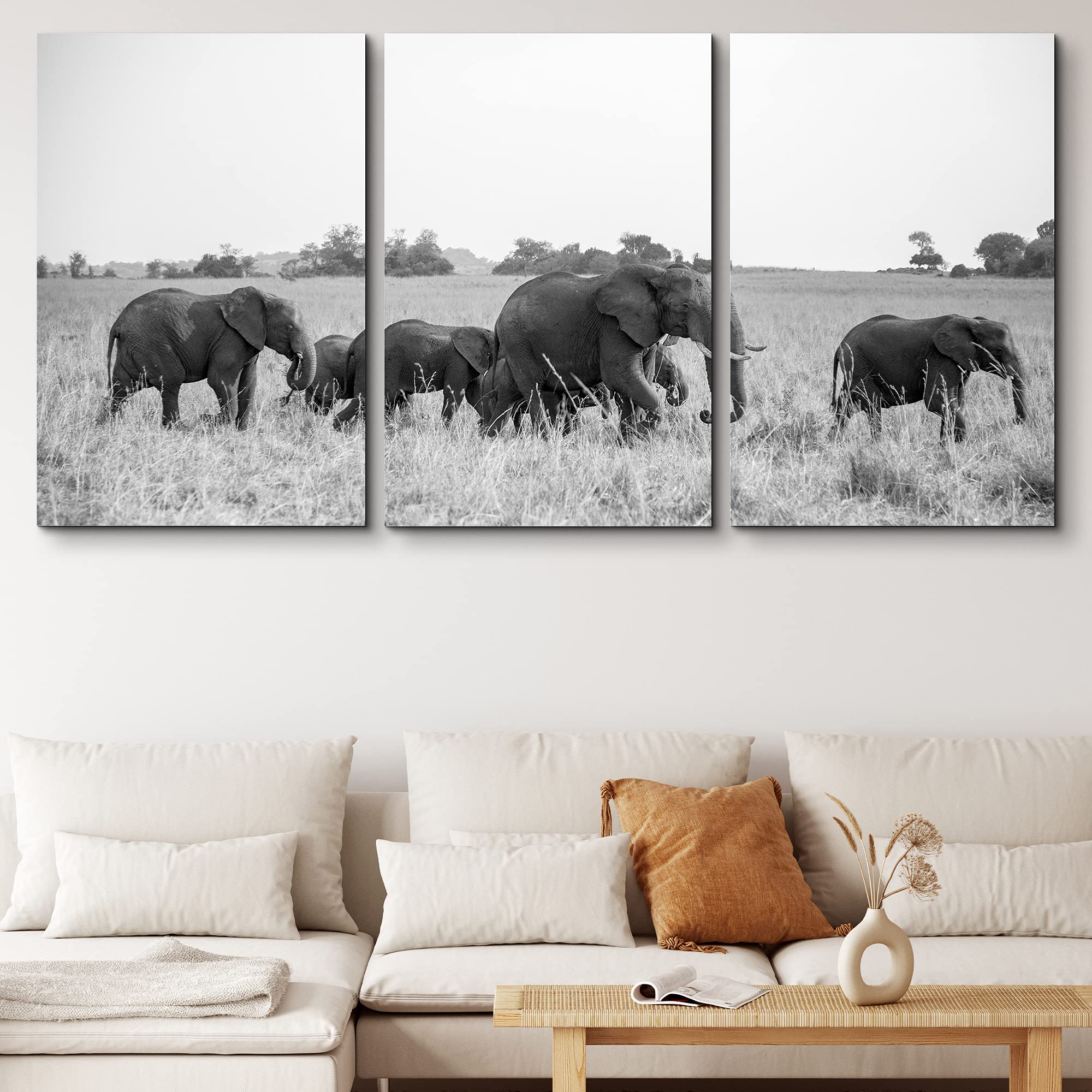 Black and White Elephant Canvas Wall Art - 3 Panels 24