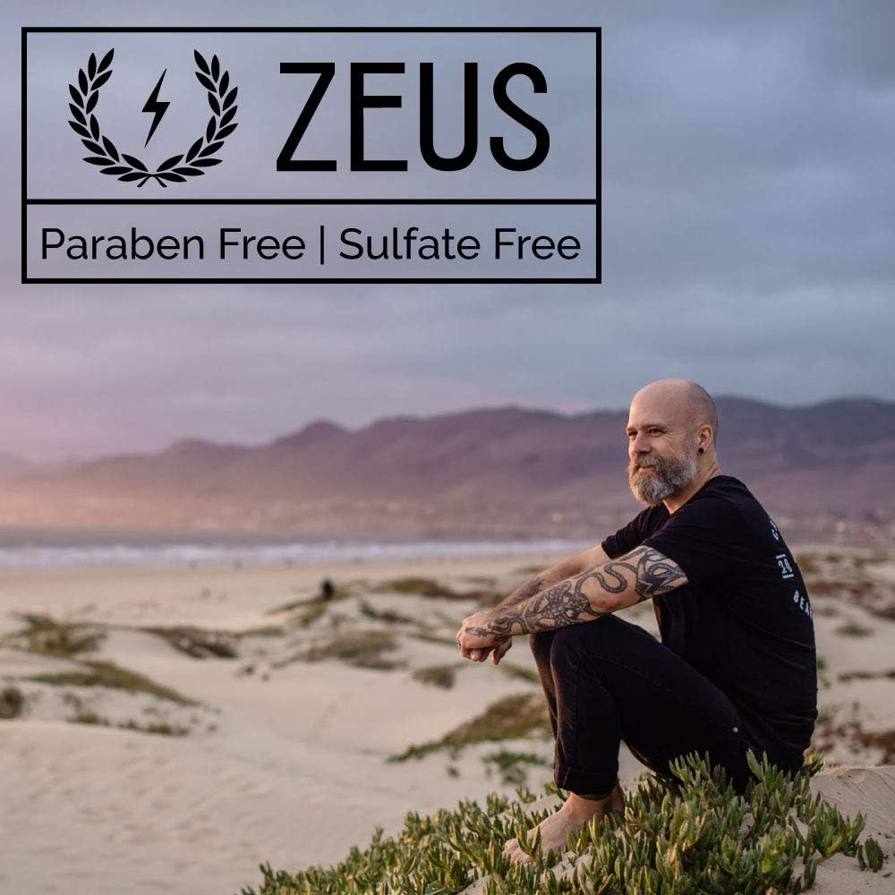 ZEUS Starter Beard Wash Kit with Travel Toiletry Bag - Beard Shampoo & Conditioner, Beard Brush & Sandalwood Scented Grooming Set for Men | Perfect for Travel, Gym & Daily Beard Care Routine