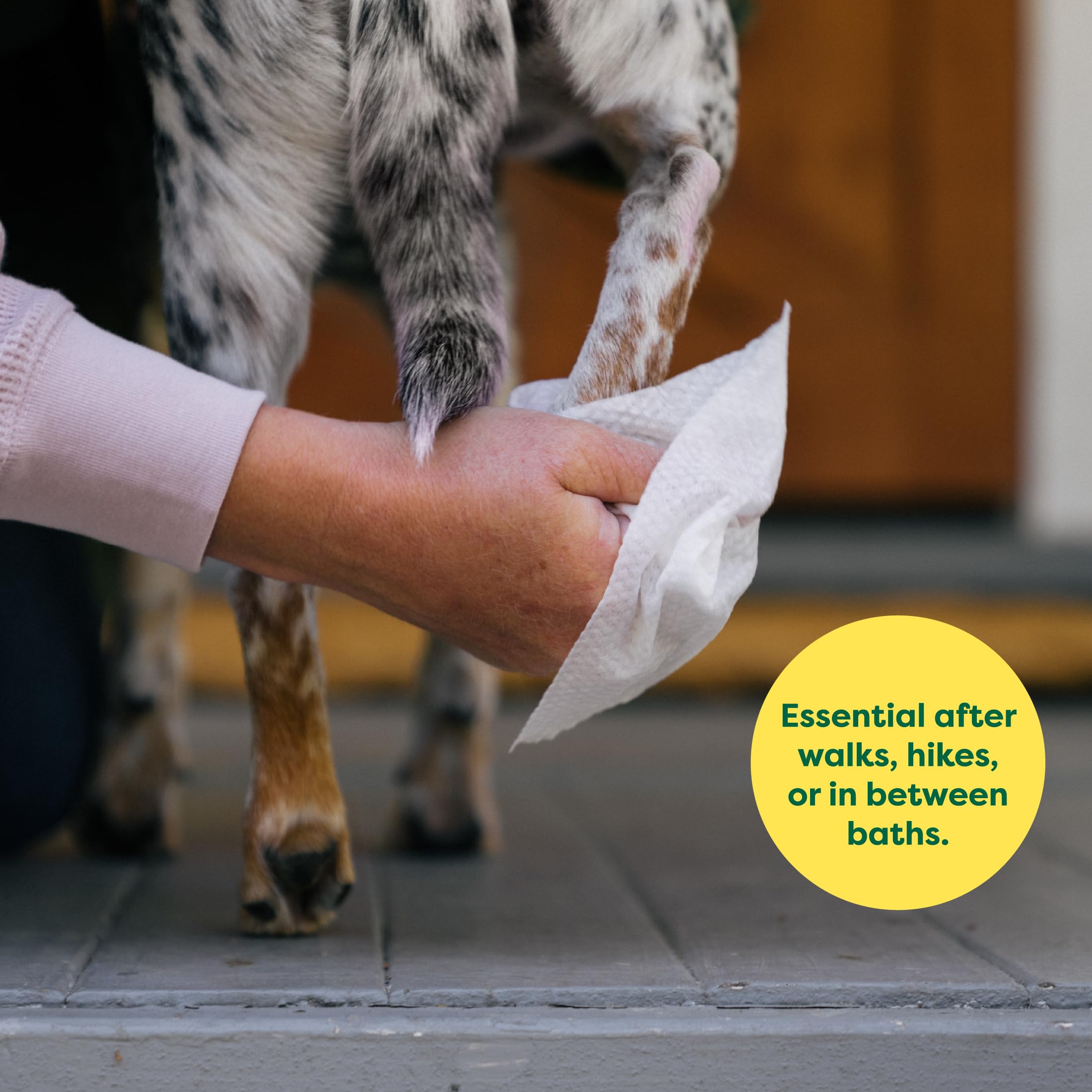 Earth Rated Hypoallergenic Dog Grooming Wipes - 400 Count, Lavender Scented Pet Wipes for Paws, Body & Butt Cleaning - Gentle & Hydrating for Dogs & Puppies - Perfect for Post-Walk Cleanup, Travel & Quick Grooming Between Baths