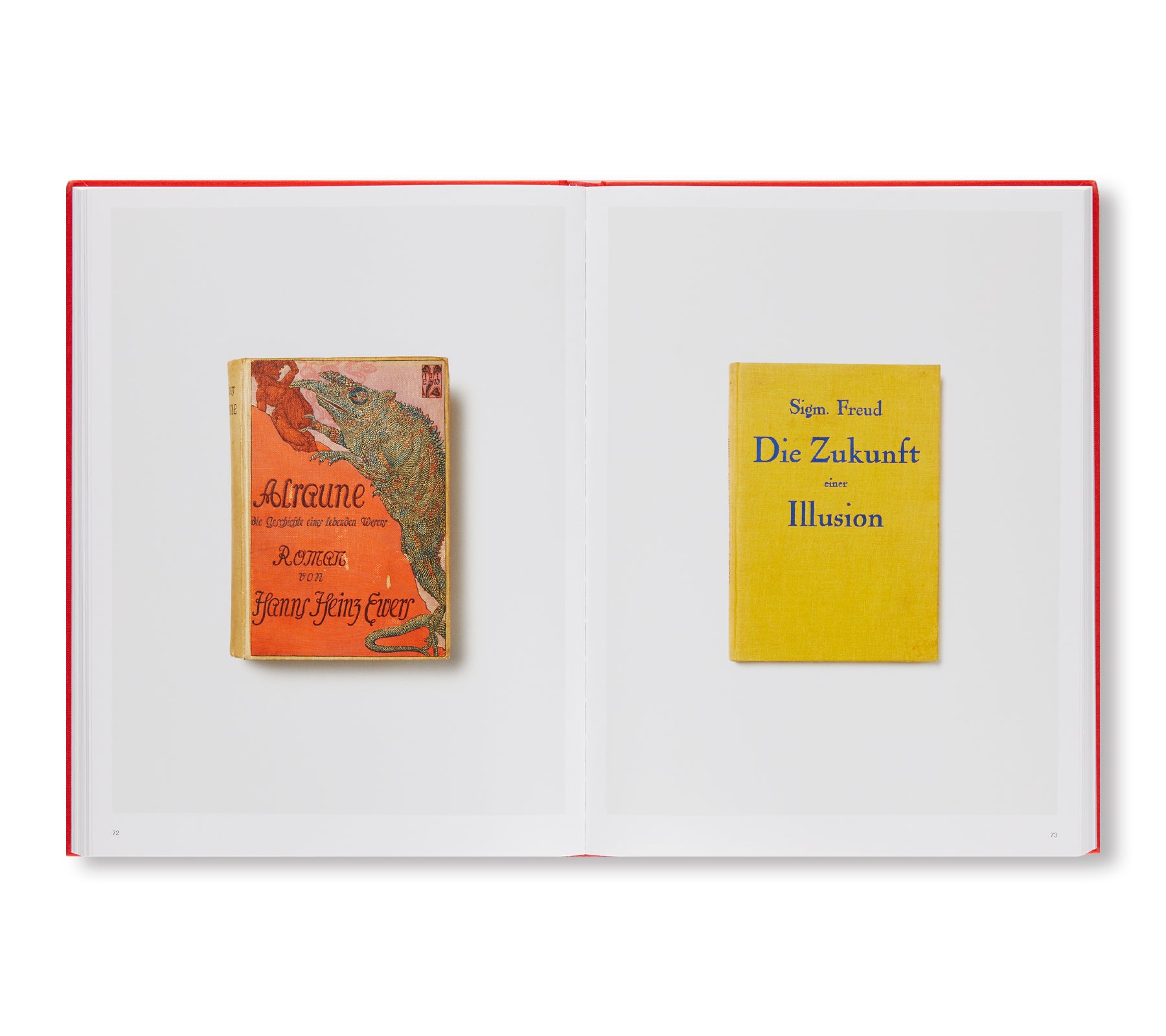 ANNETTE KELM: THE BOOKS by Annette Kelm - Art Photography Collection for Modern Home Decor & Creative Inspiration