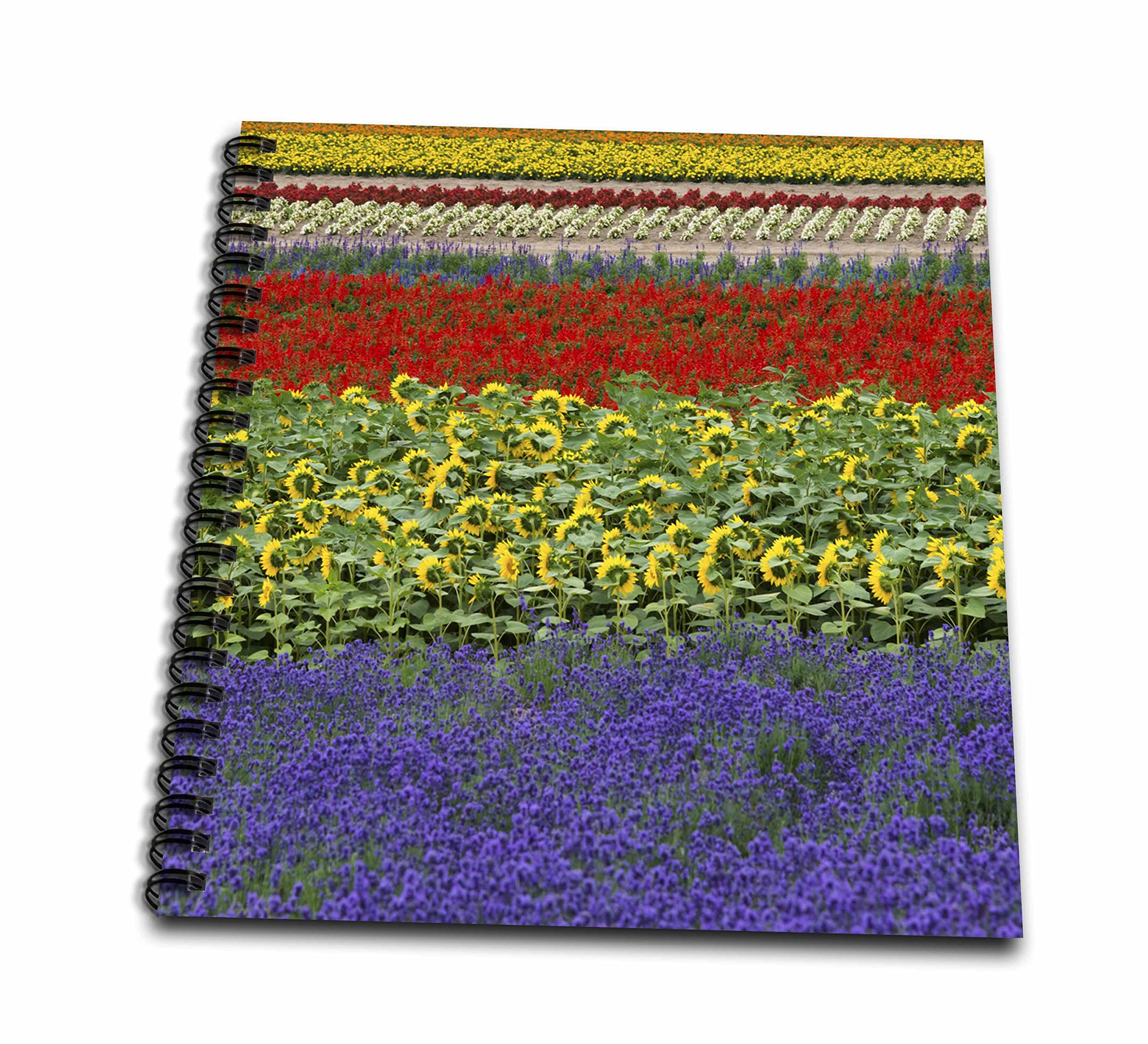 3D Rose Lavender Farm Drawing Book - Premium Sketchbook for Artists & Adults, Floral Design Coloring Book, Perfect for Relaxation, Art Therapy & Creative Gift Ideas