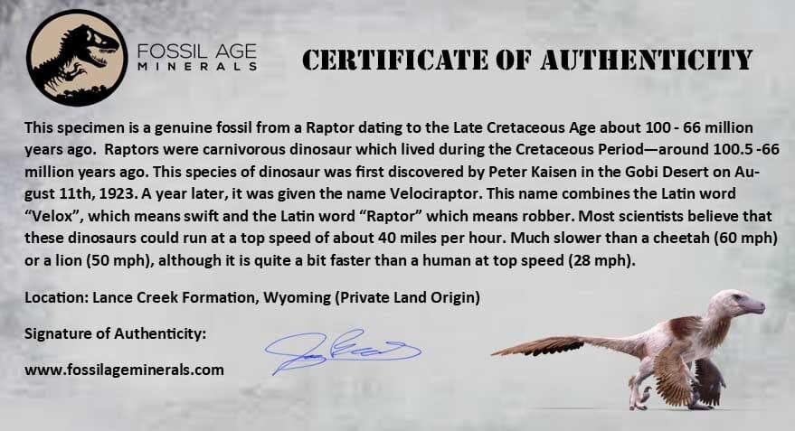 Authentic 0.5