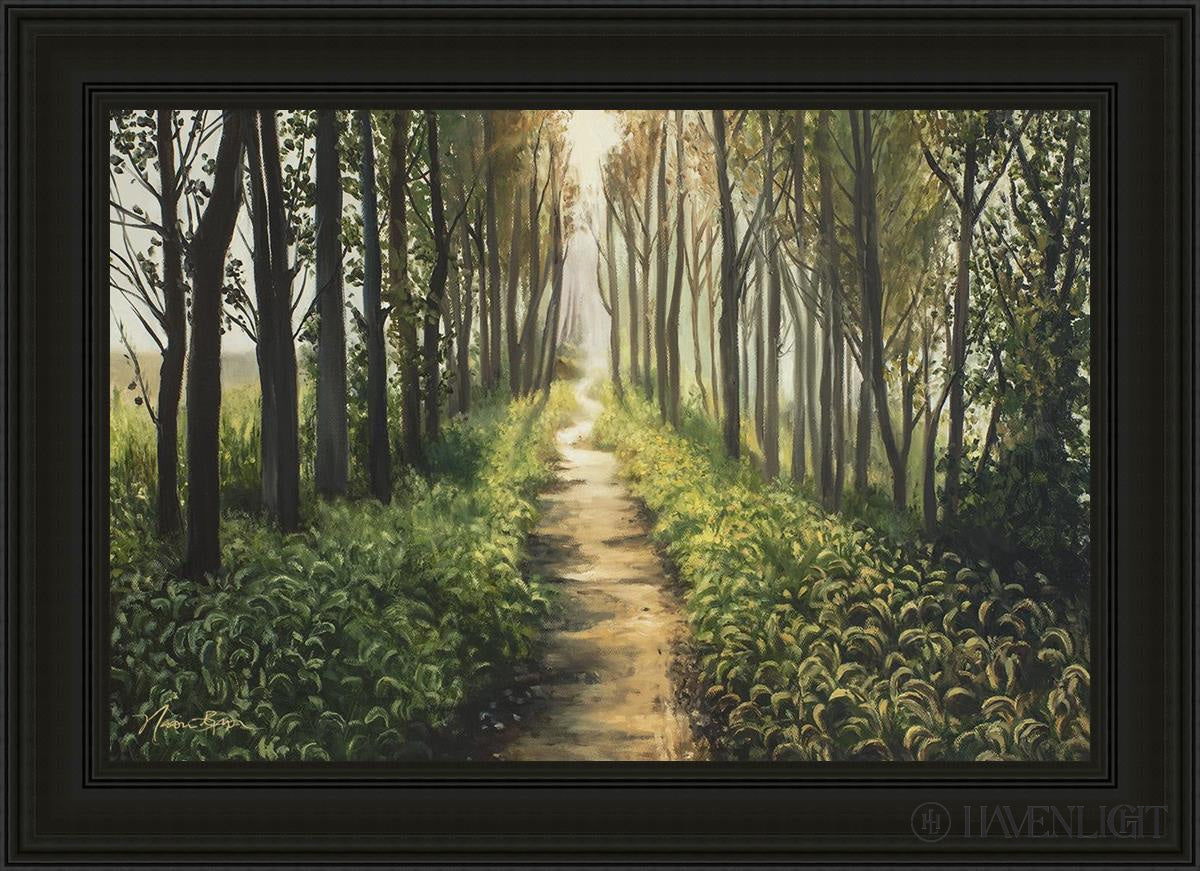 Forest Walkway - Beautiful Wooden Pathway for Gardens, Parks & Trails | Perfect for Outdoor Decor & Nature Walks