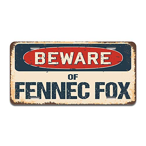 Beware of Fennec Fox