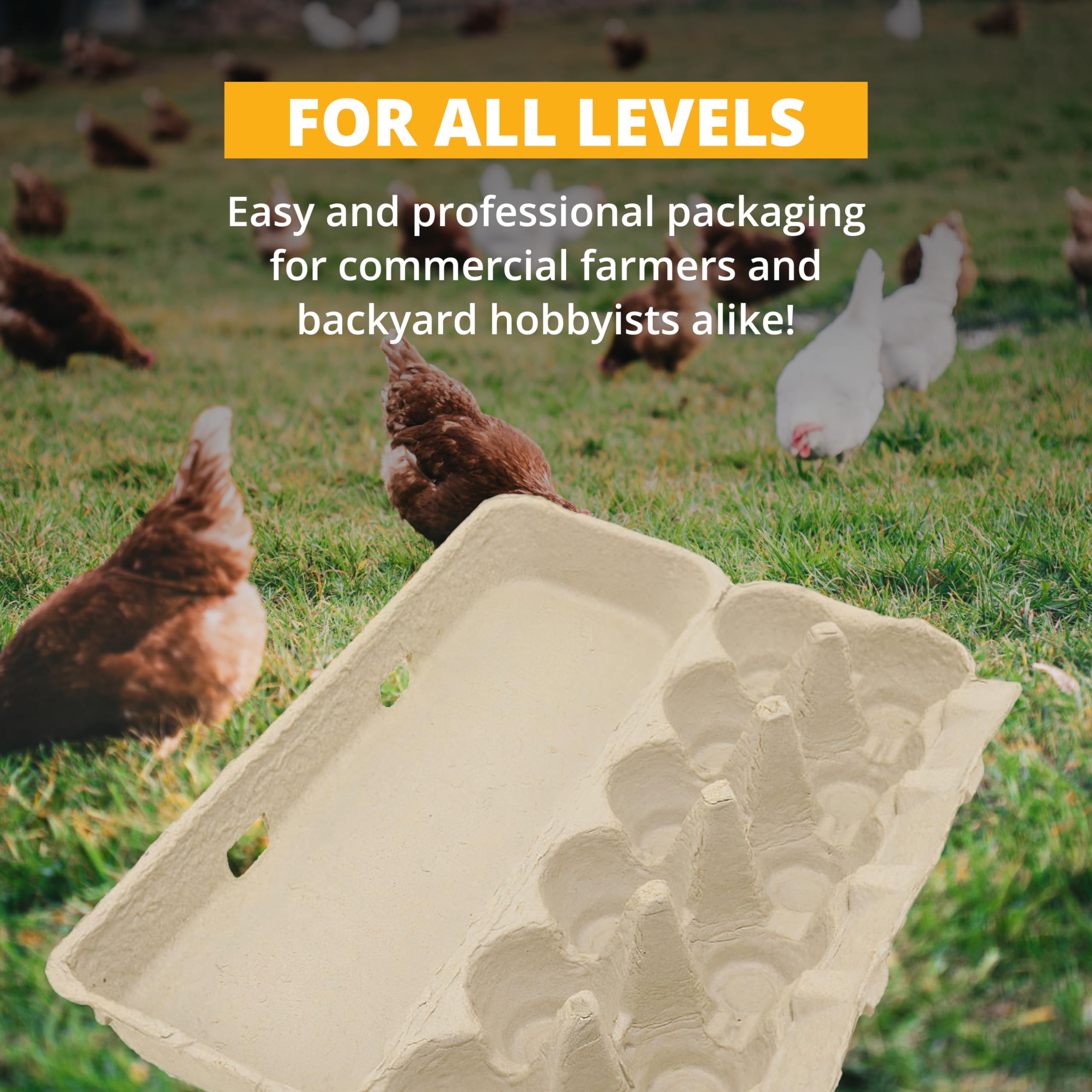Eco-Friendly Large Blank Flat Top Chicken Egg Cartons - 200 Pack, Made from Recycled Materials, Biodegradable & Customizable for Farmers, Crafters | Perfect for Farm Fresh Eggs, DIY Crafts & Sustainable Packaging