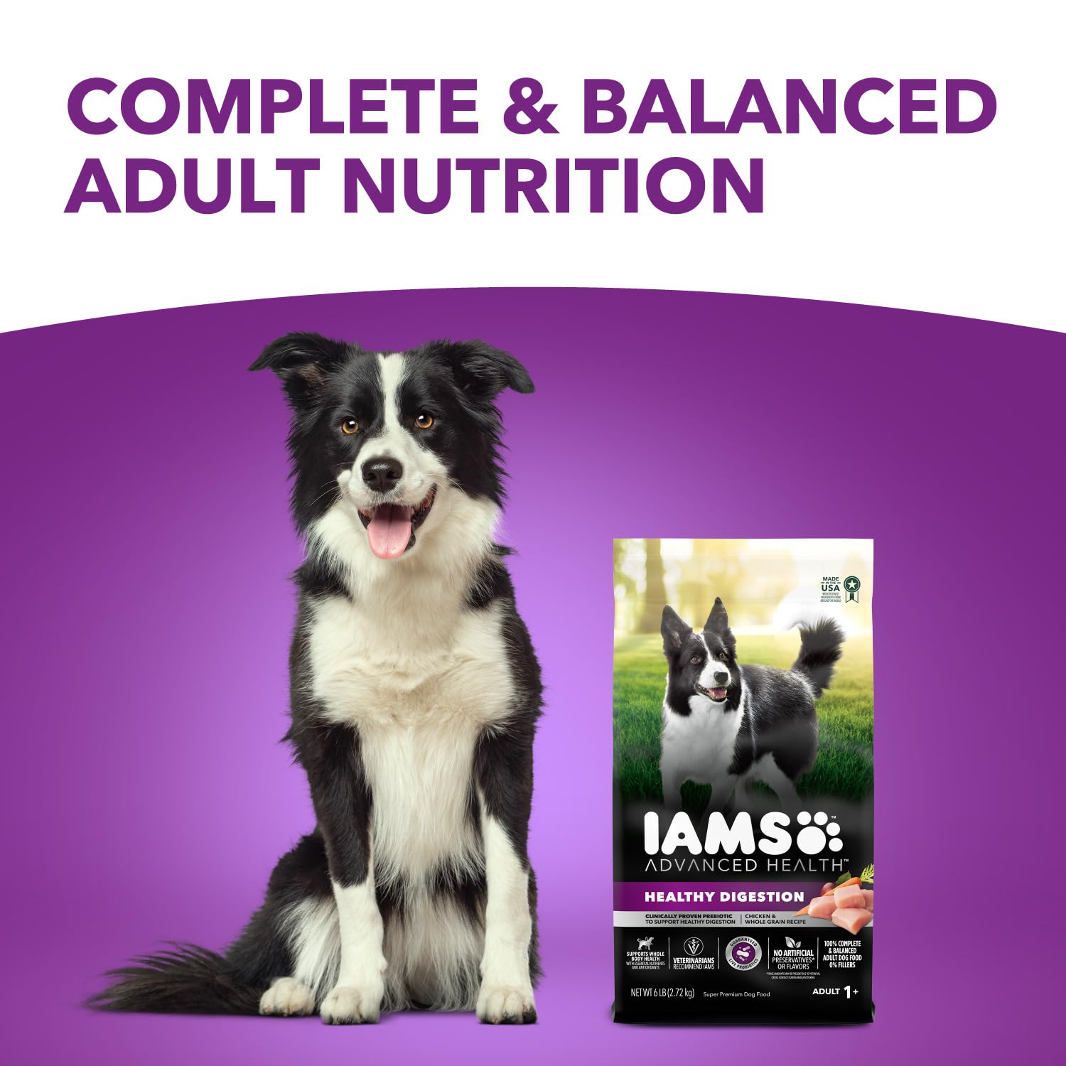 Iams Advanced Health Adult Healthy Digestion Dry Dog Food with Real Chicken - 6 lb Bag | Premium Nutrition for Sensitive Stomachs & Digestive Support | Perfect for Adult Dogs at Home or Travel