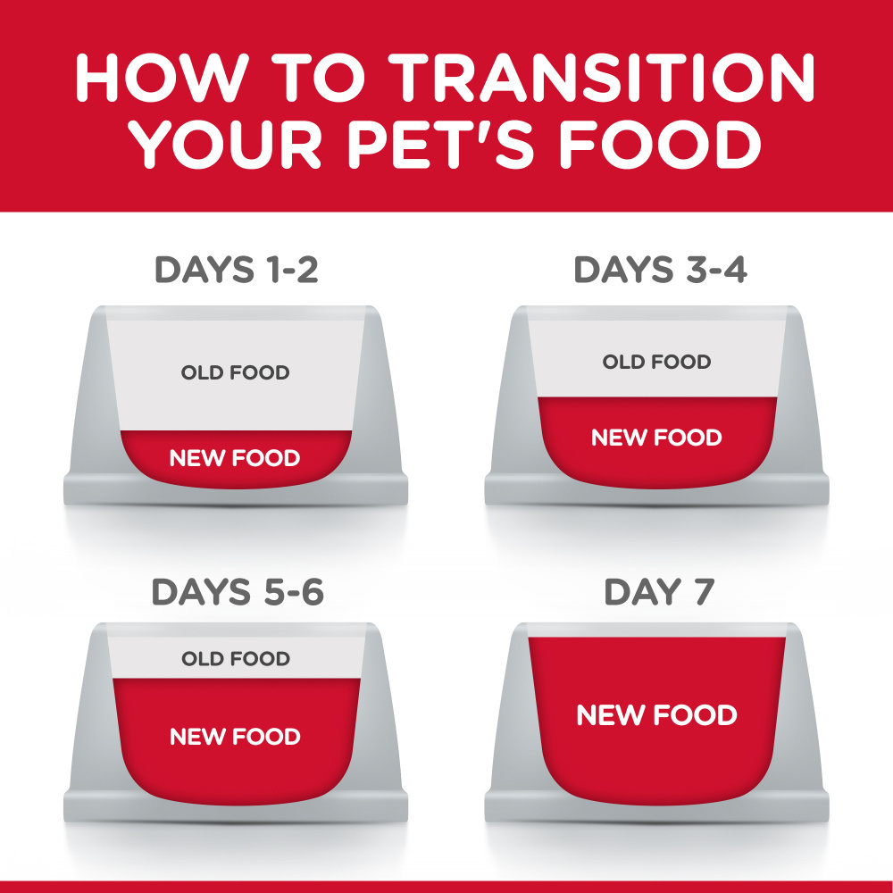 Hill's Science Diet Adult Sensitive Stomach & Skin Cat Food - Chicken & Vegetable Entree Canned Wet Food for Digestive Health & Skin Care - Perfect for Indoor Cats with Food Sensitivities