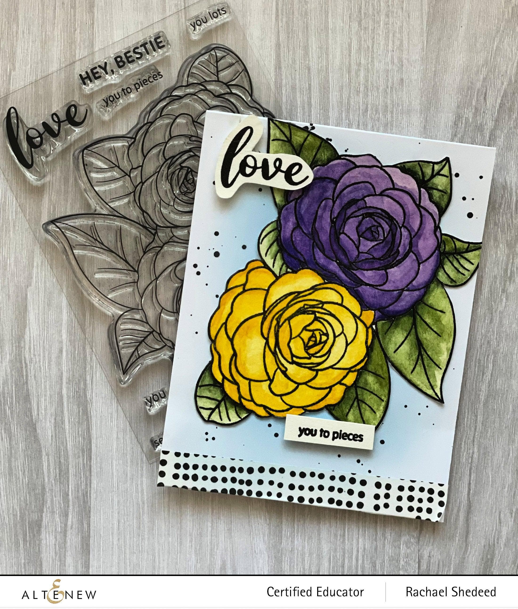 Camellia Waterhouse Outline Stamp Set for Painting Flowers - DIY Floral Art, Scrapbooking & Card Making