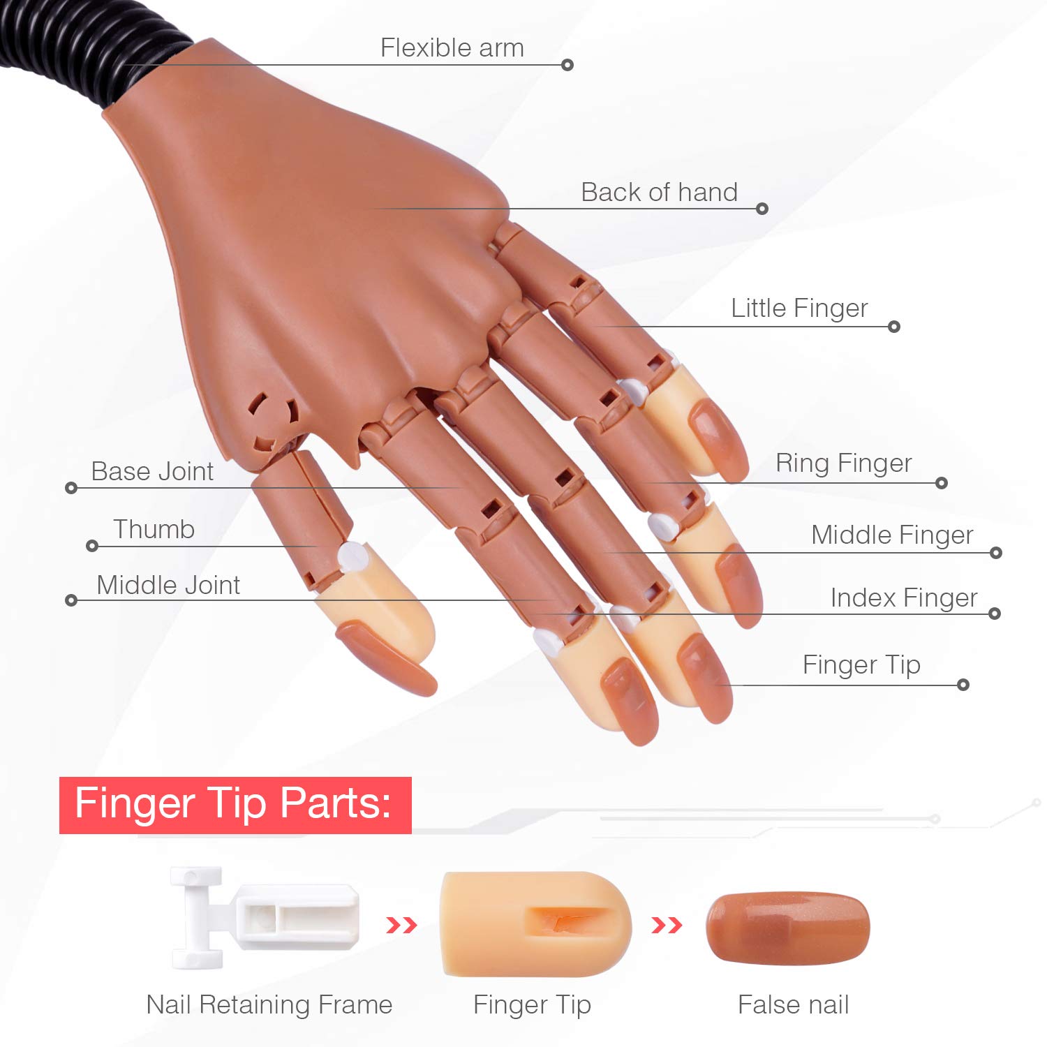 HoMove Flexible Nail Practice Hand - Professional Acrylic Nail Training Mannequin with 300 False Nail Tips & File Kit - Perfect for DIY Manicure, Nail Art Practice & Salon Training at Home