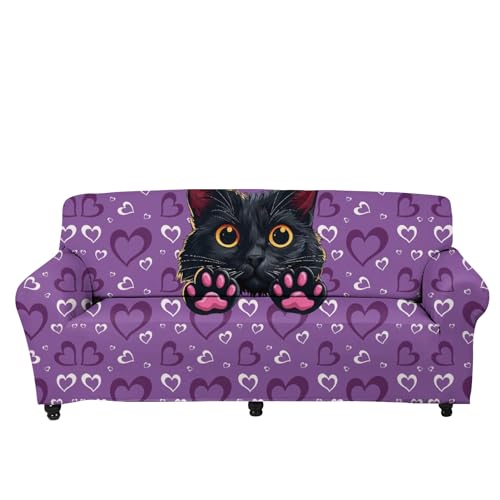 Cartoon Cat