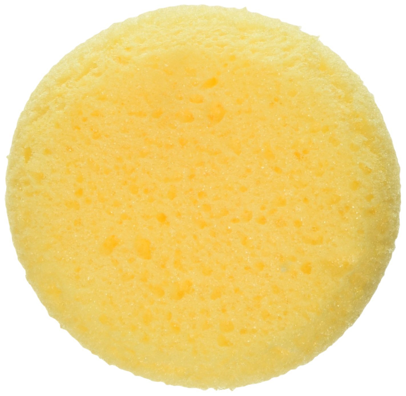 Graftobian Loftus International Makeup Sponge - Professional Beauty Blender for Flawless Foundation & Concealer Application - Perfect for Daily Makeup, Airbrush, and Special Effects (SFX)