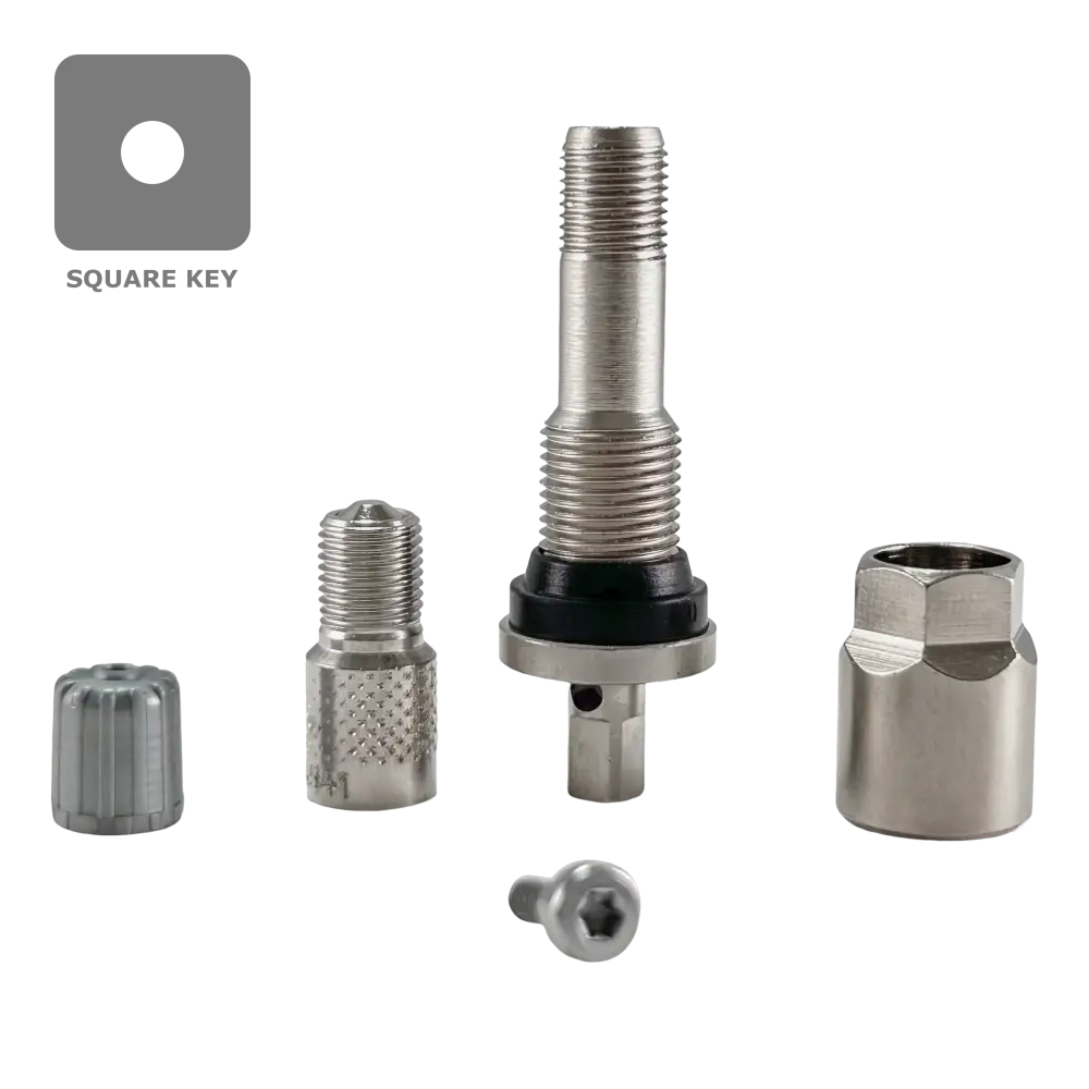 Dill VS241 TPMS Aluminum Valve Stem Service Kit for 2017+ Ford Super Duty F250 F350 F450 - Easy Tire Pressure Monitoring System Repair for Heavy Duty Trucks, Perfect for Off-Roading & Towing
