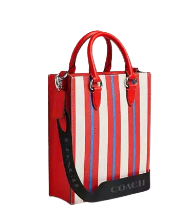 Coach Dylan Tote Bag with Stripe Print - Stylish Women's Designer Handbag for Work, Travel & Everyday Use | Premium Leather Shoulder Bag