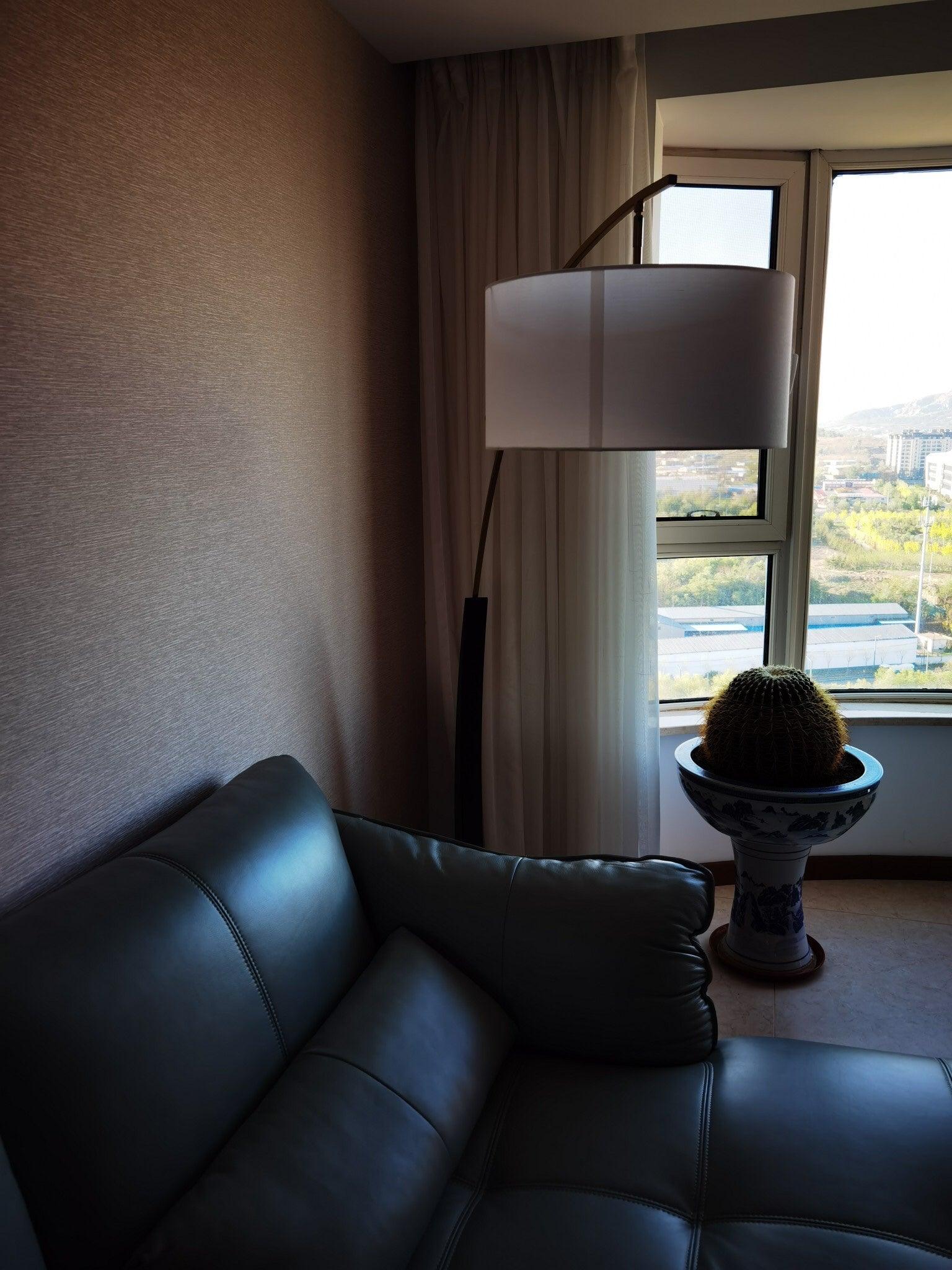 Matterhorn Arc Floor Lamp - Modern Adjustable Standing Light for Living Room, Bedroom & Office - Dimmable LED Reading Lamp with Flexible Gooseneck Design