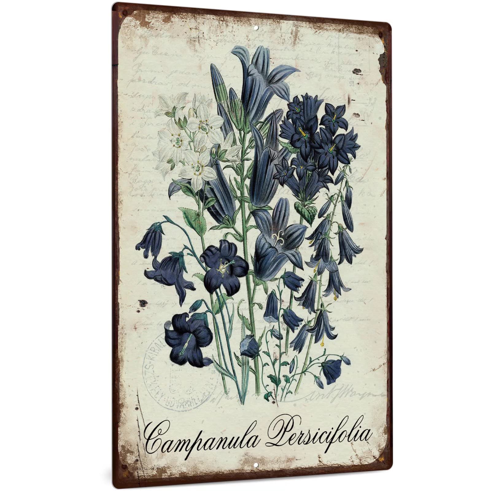 Vintage Flower Metal Wall Art - Campanula Persicifolia Sign for Home & Cafe Decor