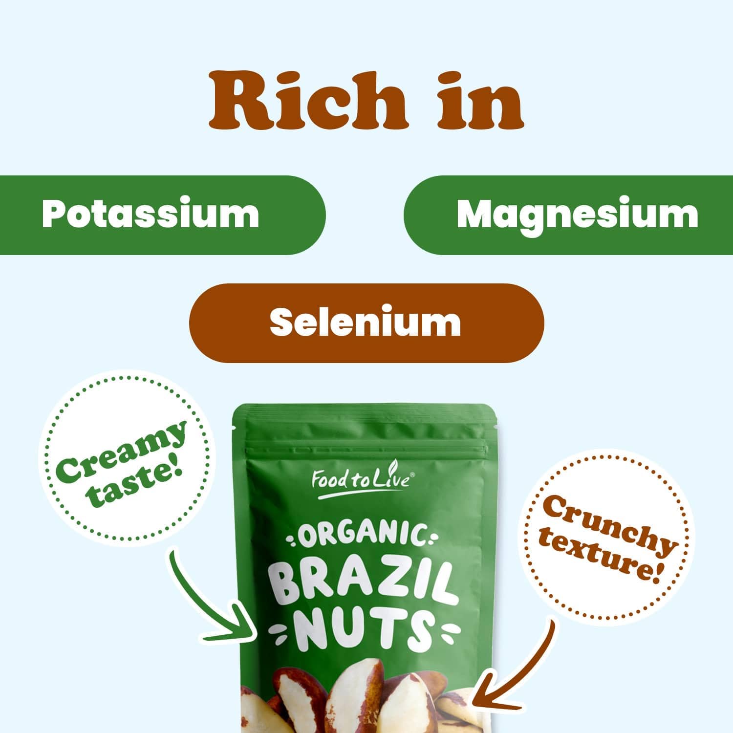Organic Brazil Nuts 12 Pounds - Raw, Whole, No Shell, Non-GMO, Unsalted, Kosher, Vegan, Keto & Paleo Friendly - Bulk Snacks, Trail Mix Ingredient - Rich in Selenium - Perfect for Healthy Snacking, Baking & Energy Boosting