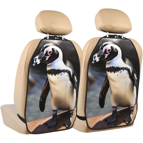 African Penguin