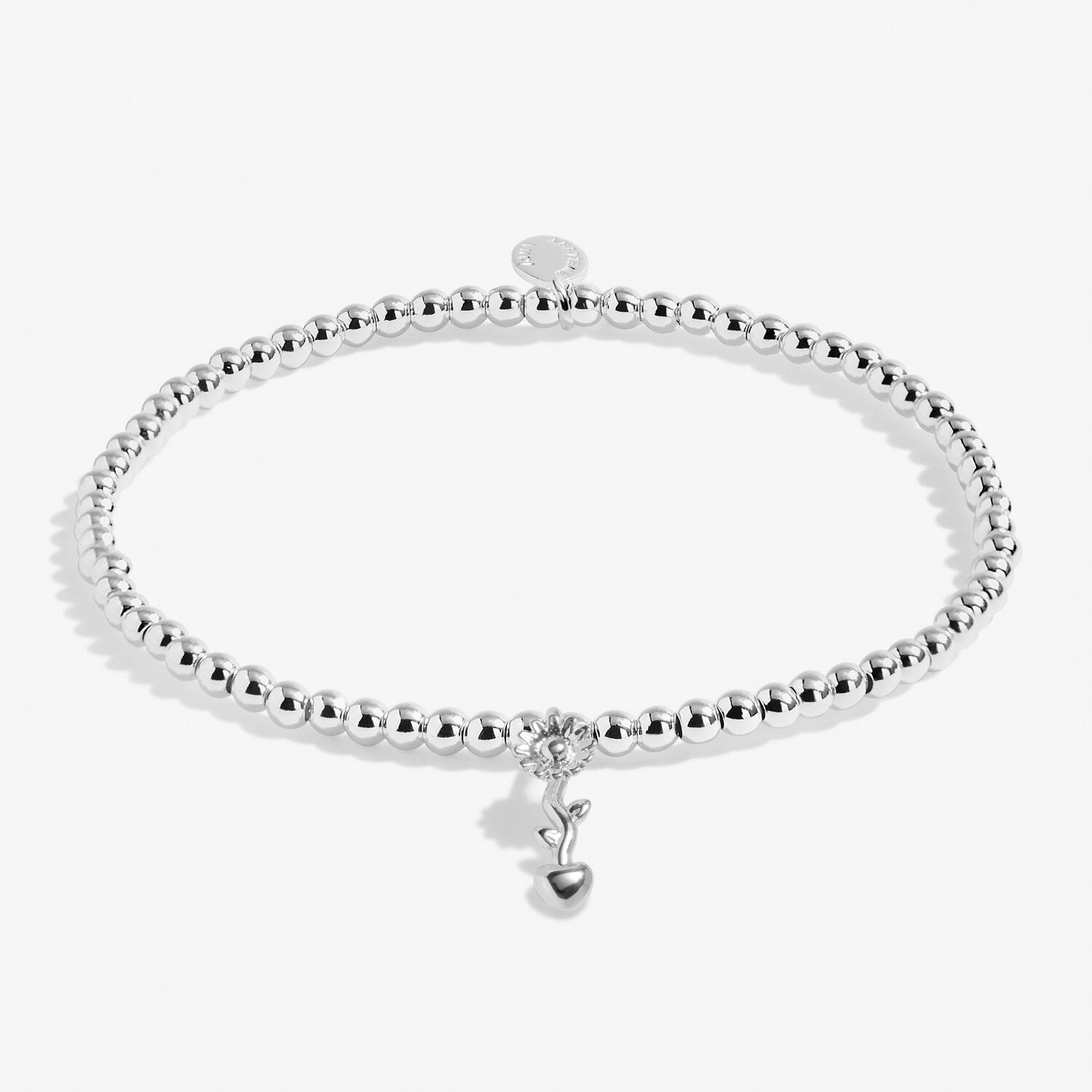 Joma Jewellery Bracelet - A Little Teachers Plant Seeds That Grow Forever - Perfect Gift for Teachers, Educators & Mentors - Ideal for Appreciation, Graduation & Retirement Gifts
