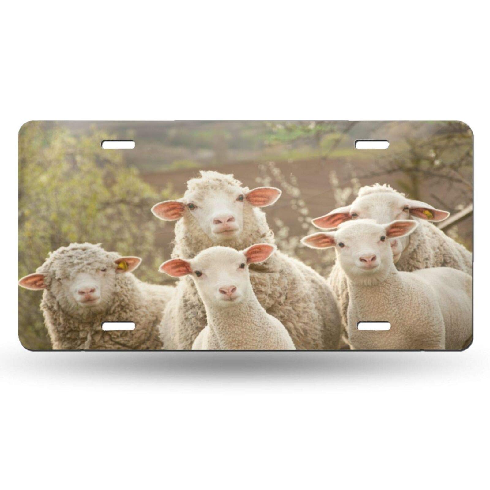 Delerain 6x12 Inch Novelty Aluminum Vanity License Plate - Sheep Design Decorative Car Front Tag for Men, Women, Boys & Girls | Perfect for Car Enthusiasts, Gifts & Custom Vehicle Accessories