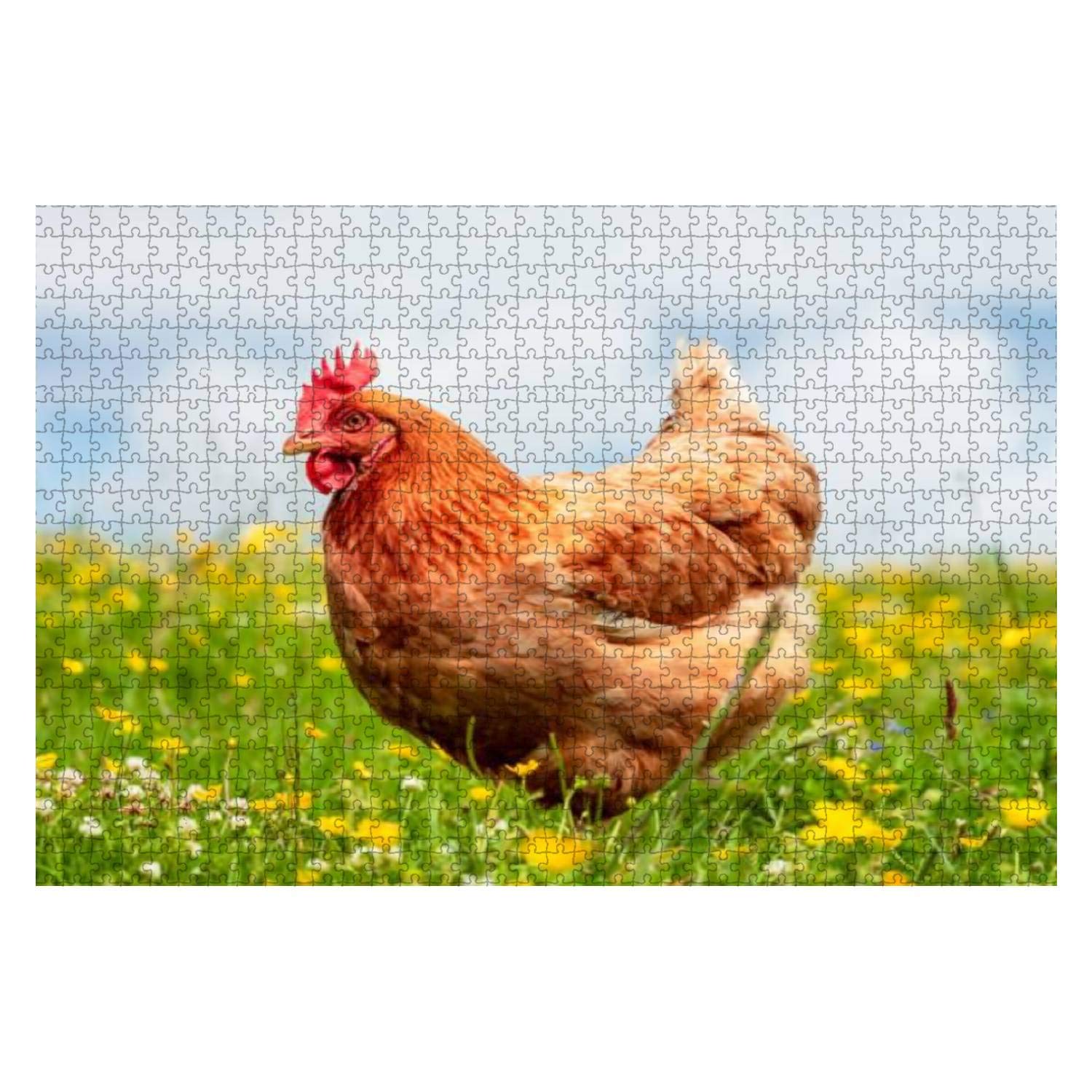 1000-Piece Hen Portrait in Spring Jigsaw Puzzle for Adults & Kids - Educational Wooden Puzzle Toy, Creative Game & Home Decor for Family Fun & Learning