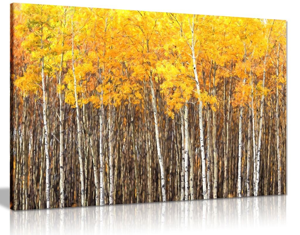 Yellow Grey Aspen Trees Forest Nature Oil Painting Canvas Wall Art Print (24x16) - Perfect for Living Room, Bedroom & Office Decor