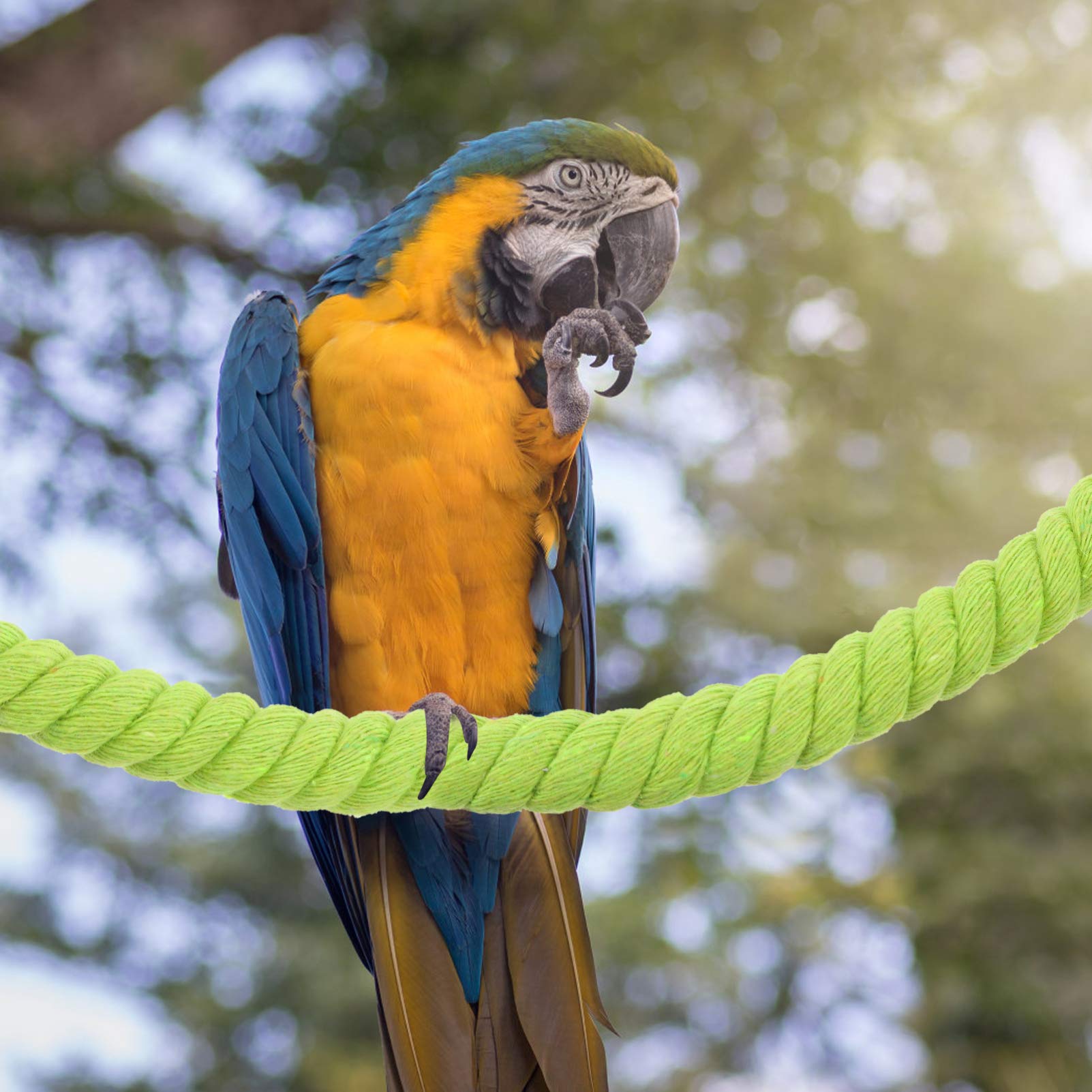 Balacoo Parrot Chew Toy & Cotton Rope Swing - Bird Hammock, Climbing Perch & Cage Accessories for Parakeets, Cockatiels | Durable Pet Supplies for Play, Exercise & Relaxation