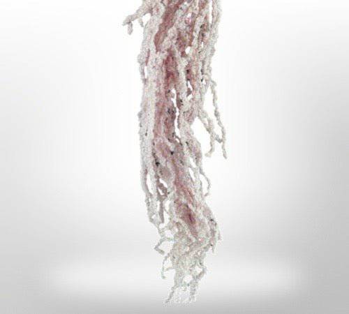 Dried Amaranthus Flowers for Home Decor | Natural Preserved Floral Arrangements | Perfect for Wedding, Party & DIY Crafts