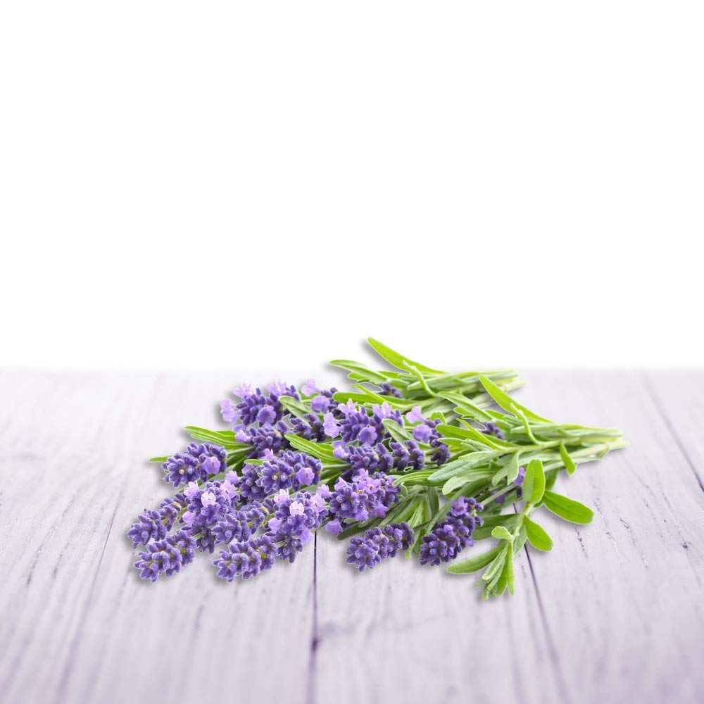 Air Wick Essential Oil Diffuser Refill - Relaxing Lavender Scent, 3-Pack (3 x 20ml) for Aromatherapy, Home Spa, Yoga & Stress Relief