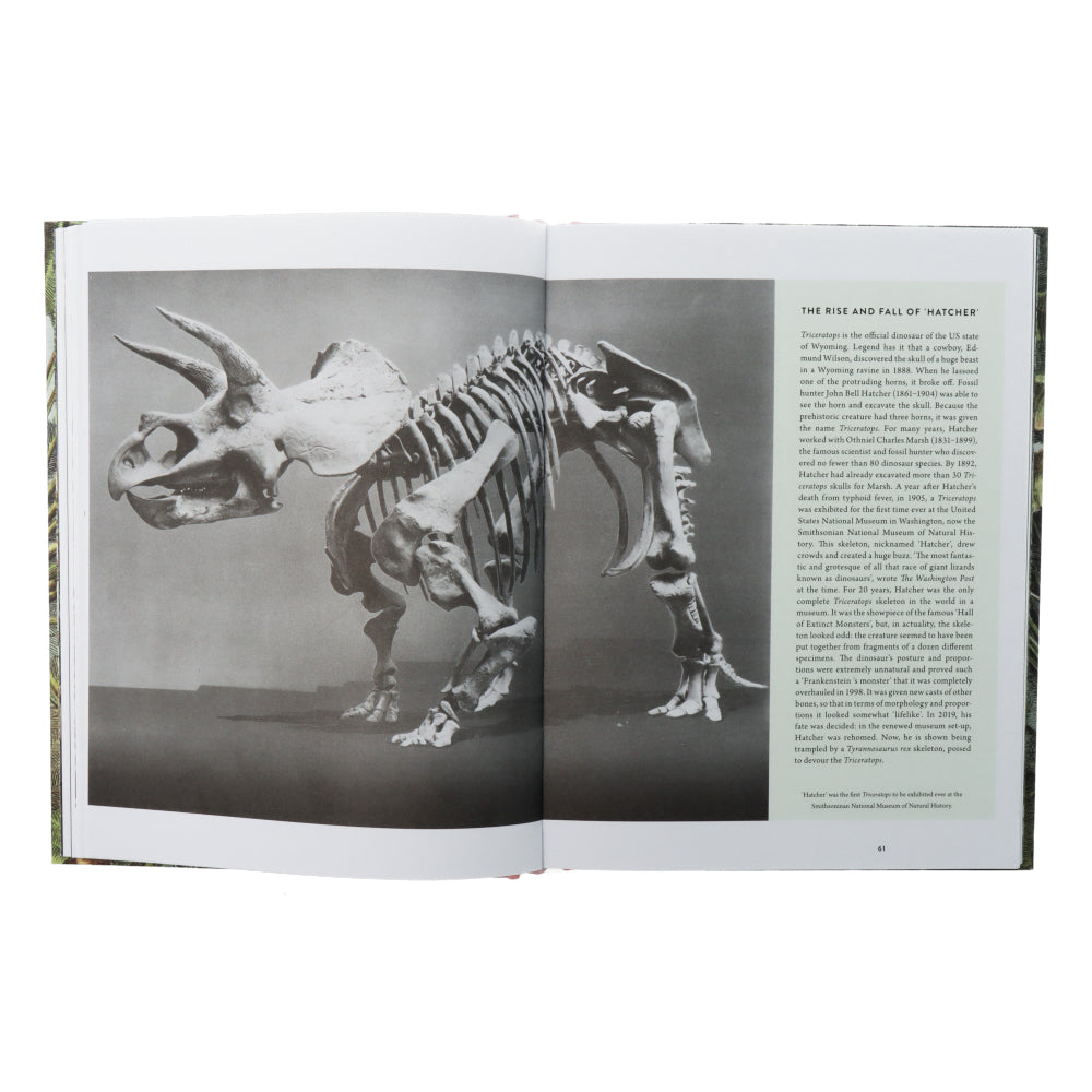 Collectible Dinosaur Figures - Realistic Prehistoric Dinosaur Toys for Kids & Adults - Perfect for Home Decor, Birthday Gifts, and Dinosaur Enthusiast Collections