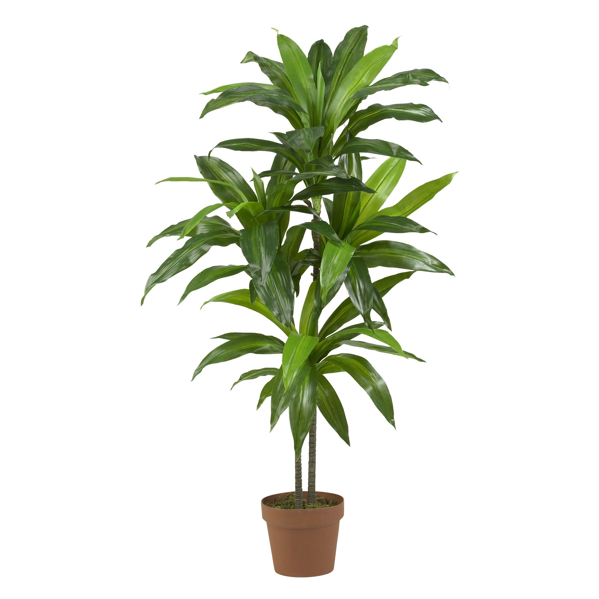 Nearly Natural 43in. Dracaena Silk Artificial Plant with Real Touch Technology - Green & Green 4855 35in. Sansevieria Artificial Plant in Black Planter - Perfect for Home Office Decor, Living Room, and Indoor Spaces