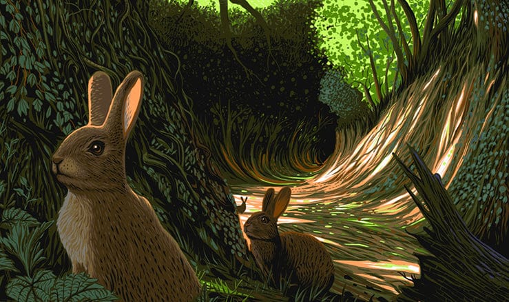Black Dragon Press x Mondo #29: Watership Down Limited Edition Art Poster - Perfect for Home Decor, Office Wall Art & Movie Fan Collections