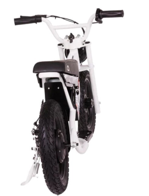Droyd Weeler Mini Electric Bike 24V 8Ah 200W 10 MPH - Lightweight Foldable E-Bike for Adults & Teens - Perfect for Commuting, Campus, and Urban Riding