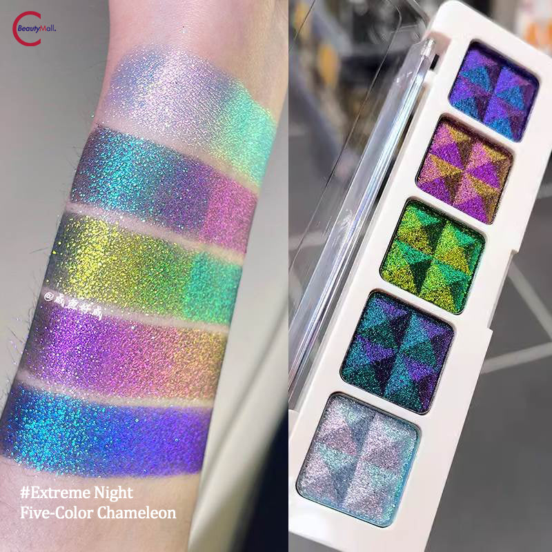 SHIZHUANG Chameleon Eyeshadow Palette - 12 Color Long Lasting Makeup Kit for Day & Night Looks - Perfect for Parties, Weddings & Everyday Glam
