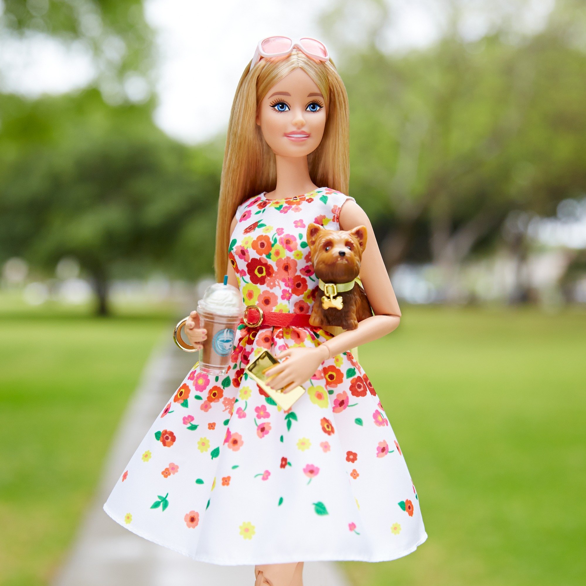 Barbie Collector Doll - Park Pretty for Display & Gifting