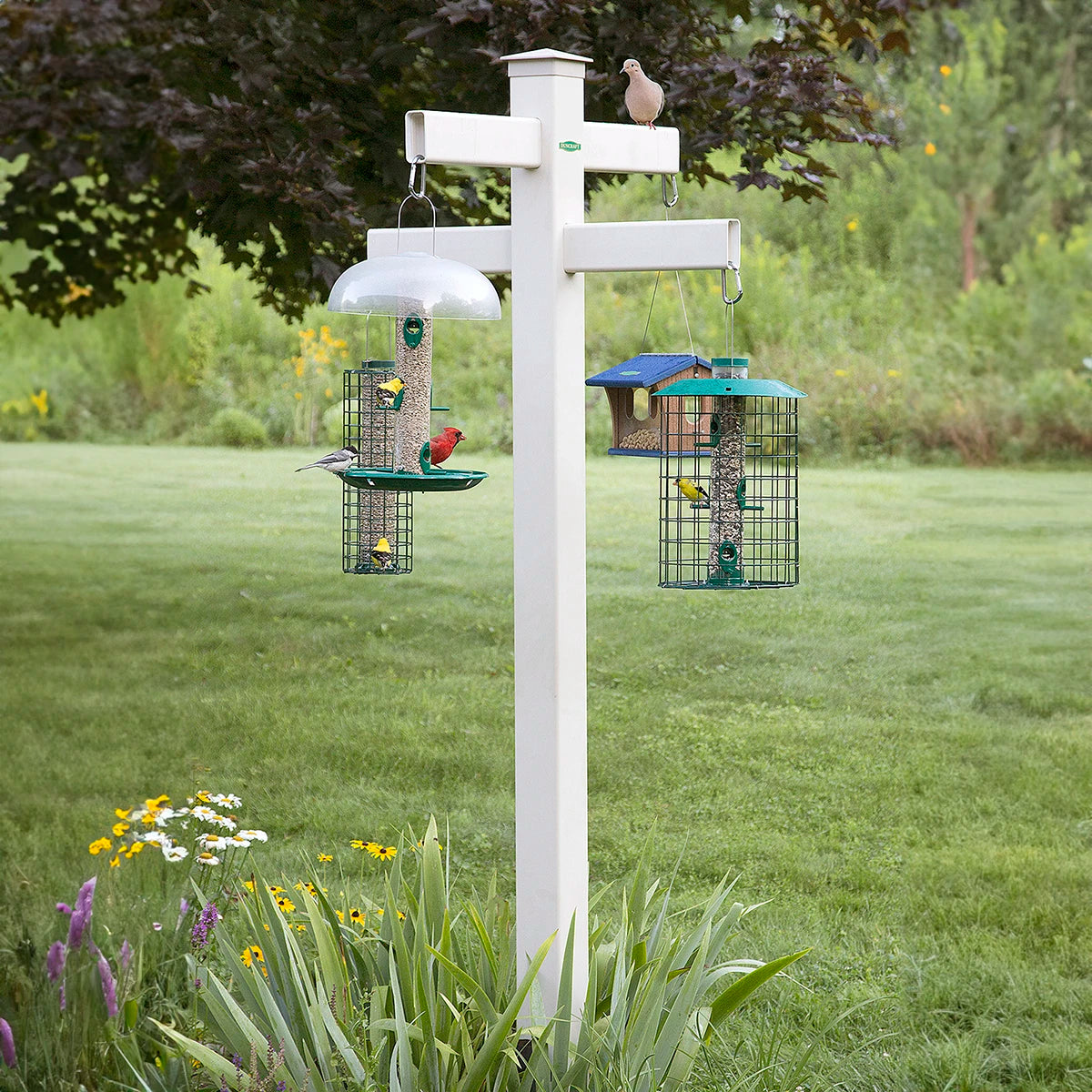 Duncraft Masterpiece 84 Quad Station Bird Feeder - Premium 4-Sided Squirrel Proof Wild Bird Feeder for Outdoor Garden & Backyard Use