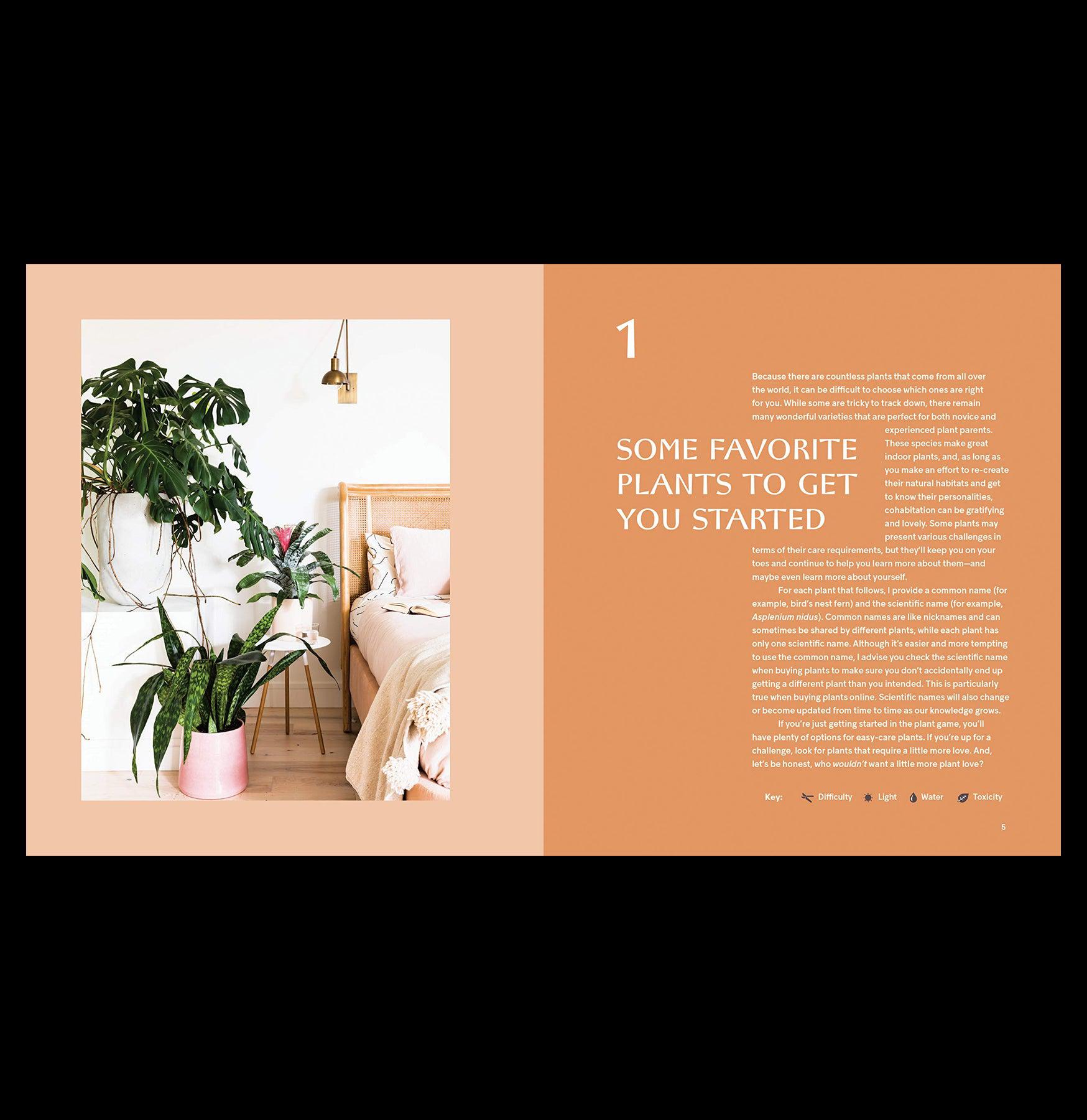 House Plants Guide: How to Choose, Grow, and Style Perfect Indoor Plants for Home & Office Decor | Best for Living Room, Bedroom, and Workspace
