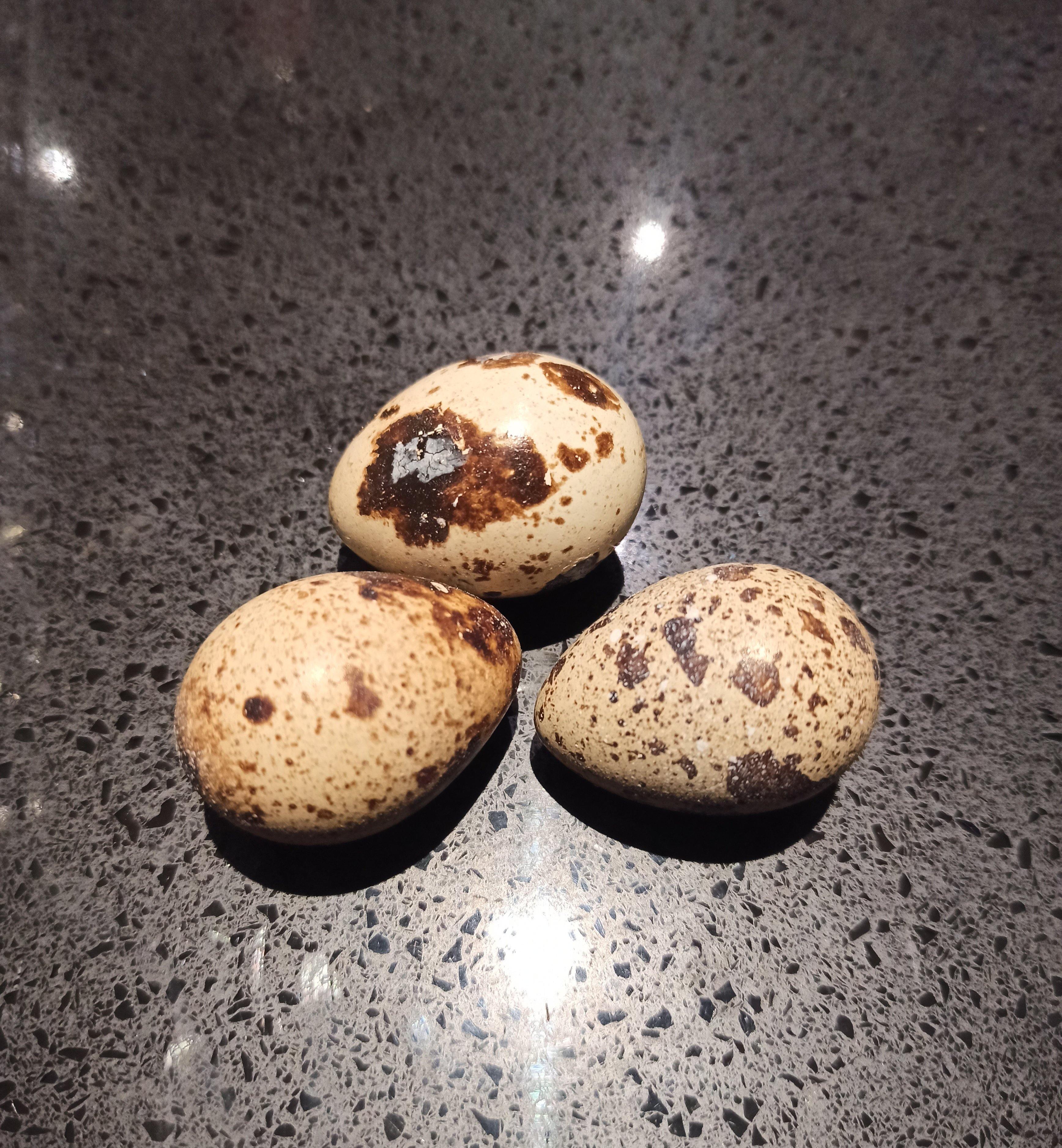 Premium Frozen PMR Quail Eggs - High Protein, Nutrient-Rich Superfood for Cooking, Baking & Healthy Snacks | Perfect for Salads, Soups & Gourmet Dishes