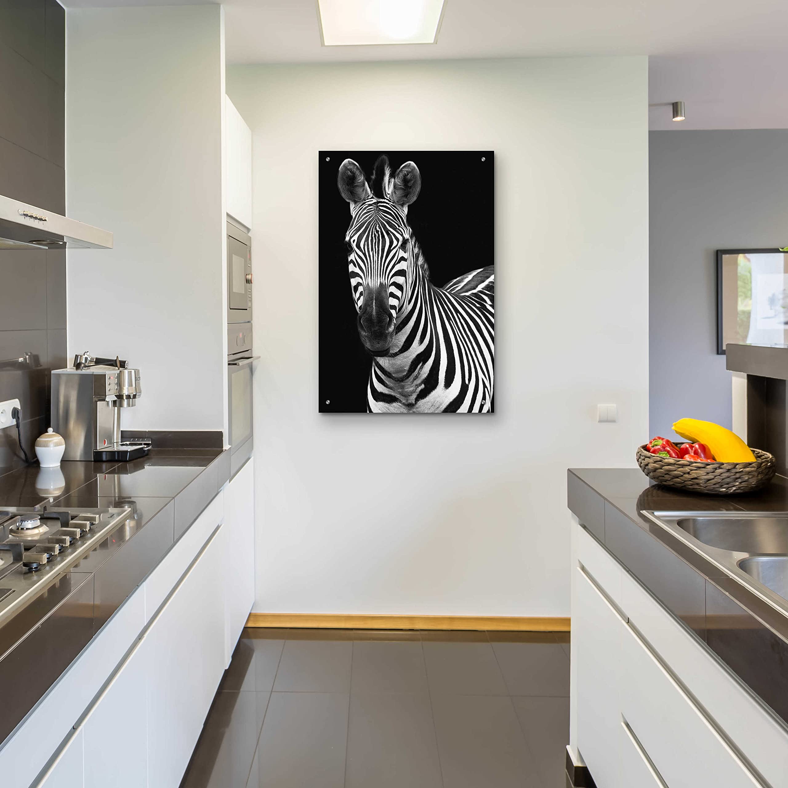 Debra Van Swearingen 'Zebra II' Acrylic Glass Wall Art - 24x36 Inches Modern Animal Print Painting for Living Room, Bedroom & Office Decor