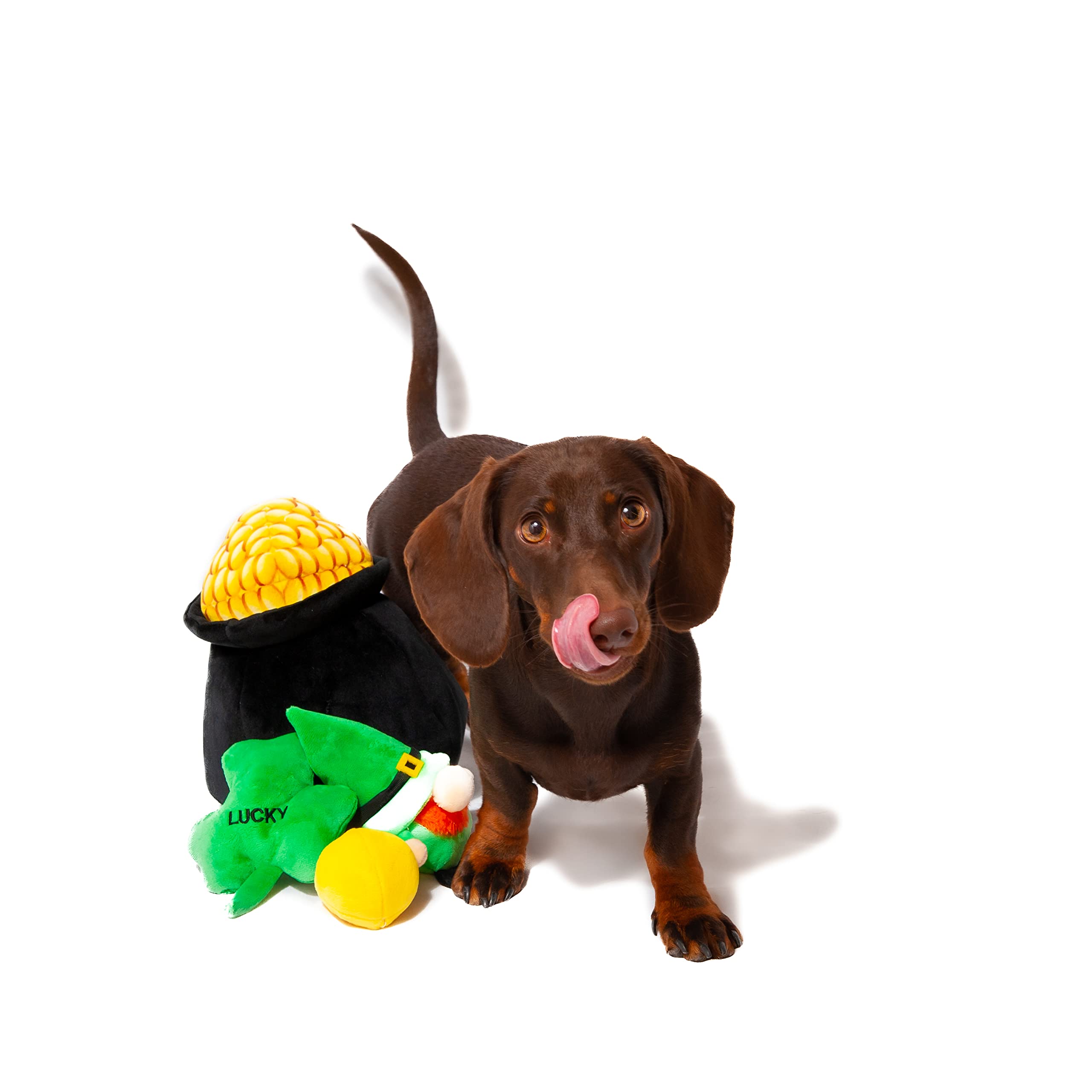 Midlee Hide-A-Toy Pot of Gold St. Patrick's Day Interactive Dog Toy - Fun Puzzle Game for Dogs with Treat Dispenser - Perfect for Training, Playtime & Irish Themed Pet Parties